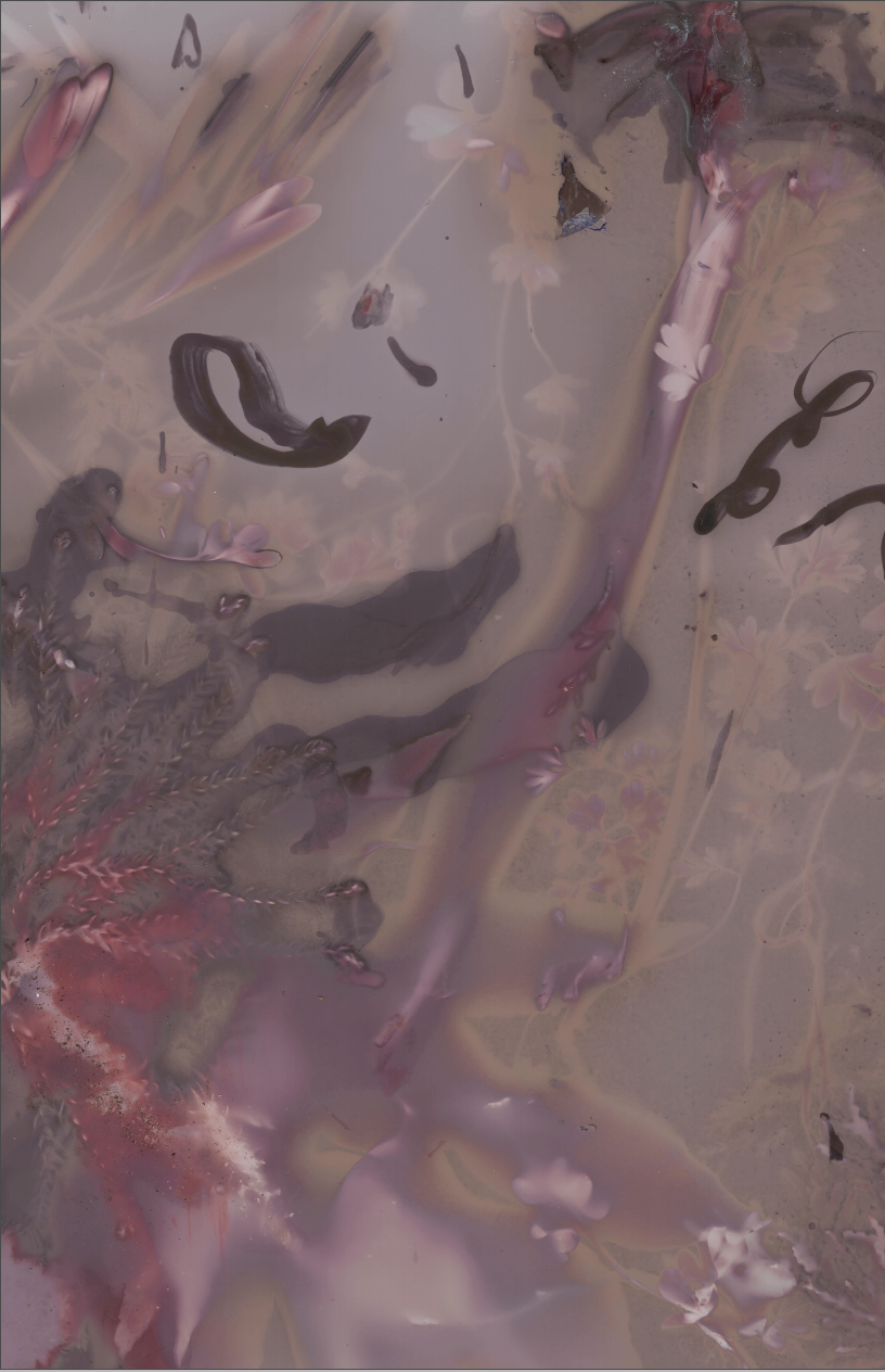 Screenshot 2026-08-18 at 10.15.37 AM.png