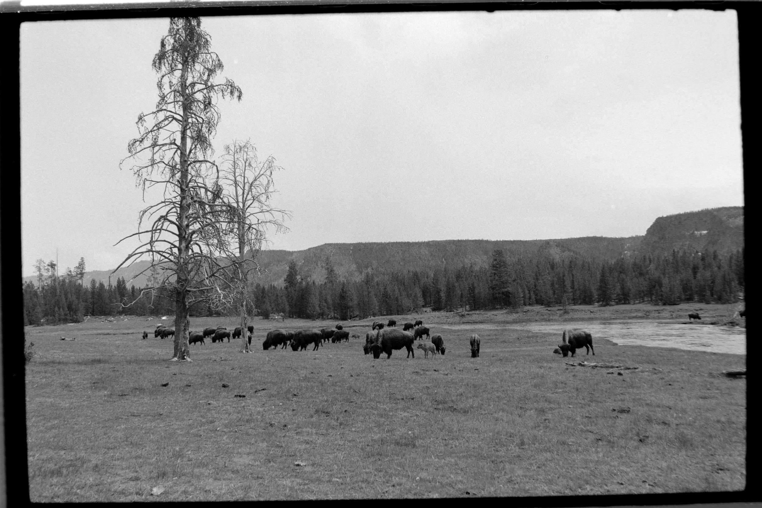 Micah Scans Idaho-25.jpg