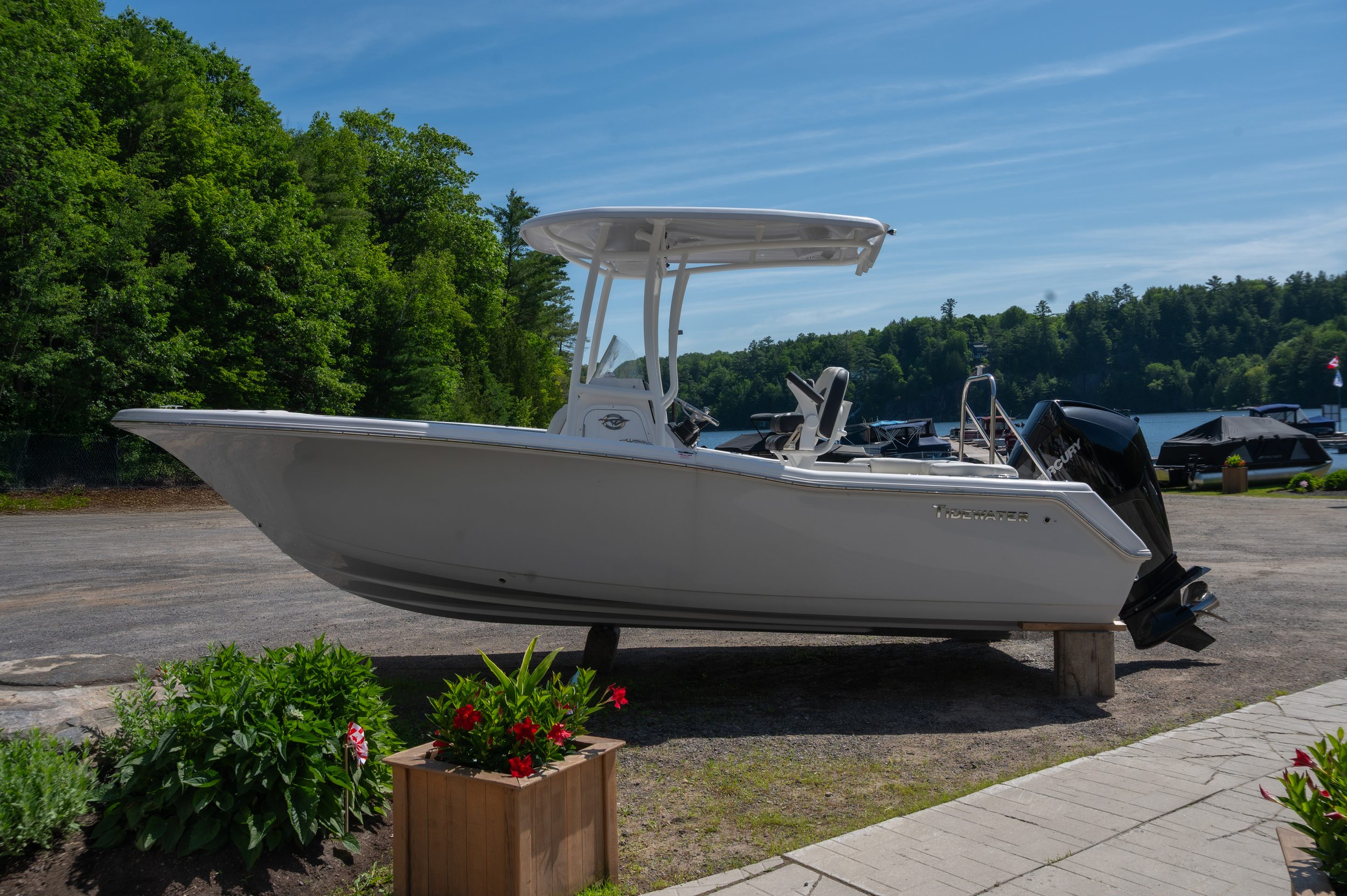 MM_2024 Tidewater 220 LXF-10-edited.png