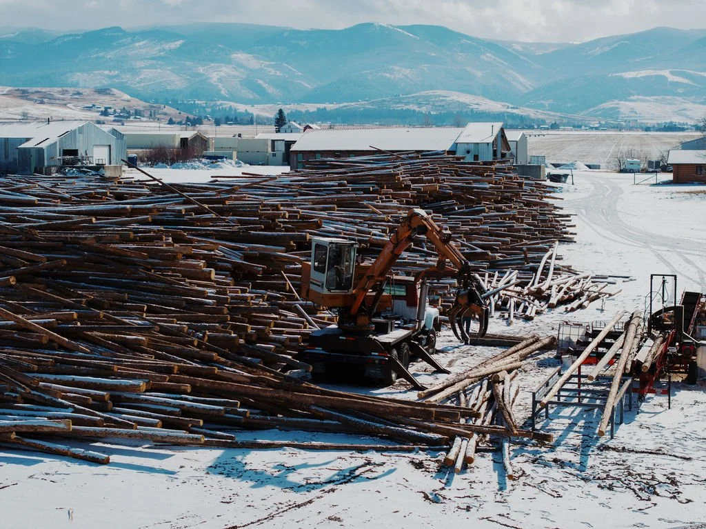 Grapple arm in use, with lumber and mountains in the background.