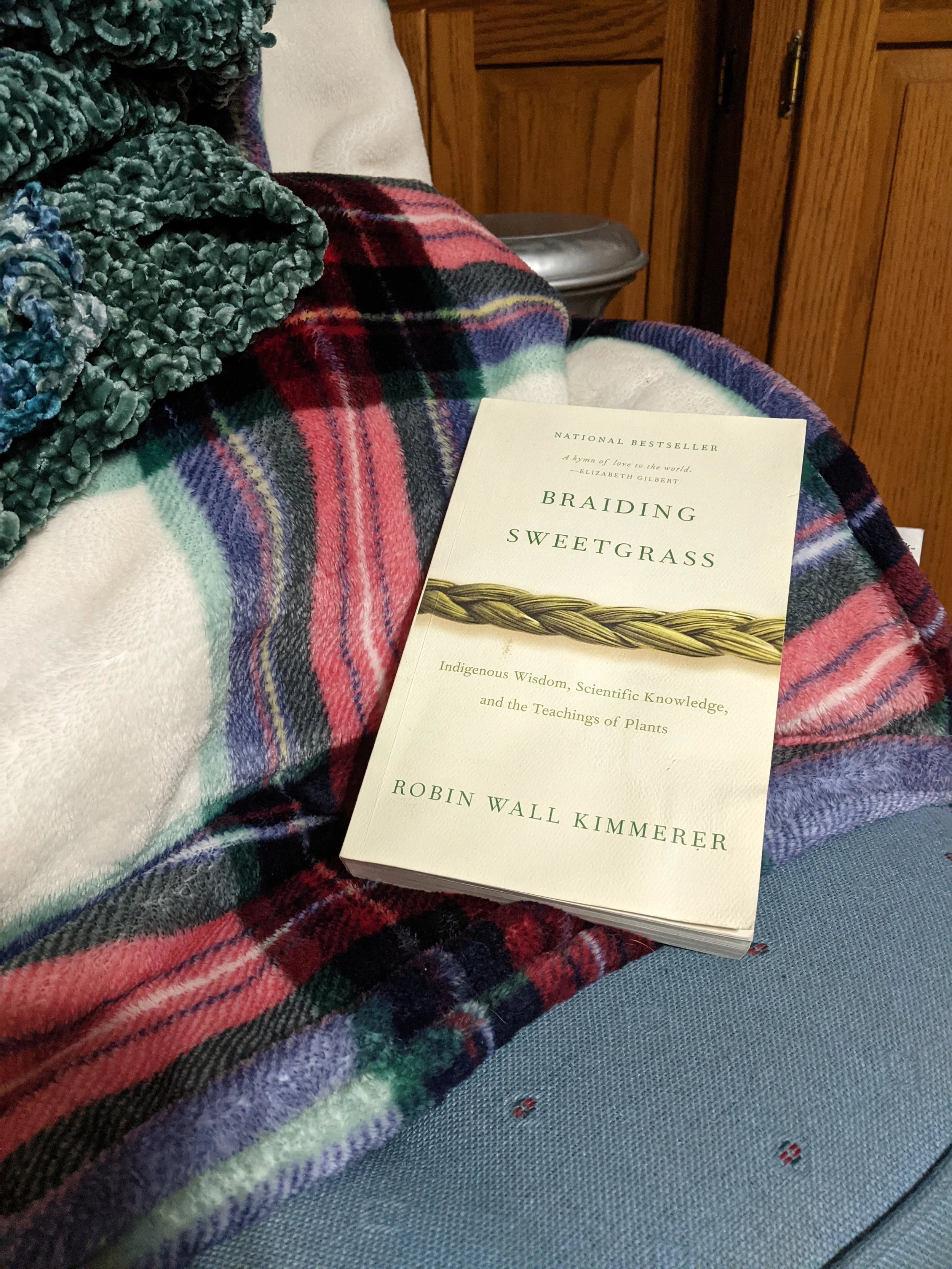 Six Things to Do during Winter