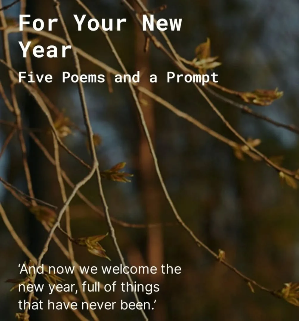 Some poems and a gentle poetry prompt on my substack to help you across the threshold into the shiny New Year. Free to read and share - link in bio.
