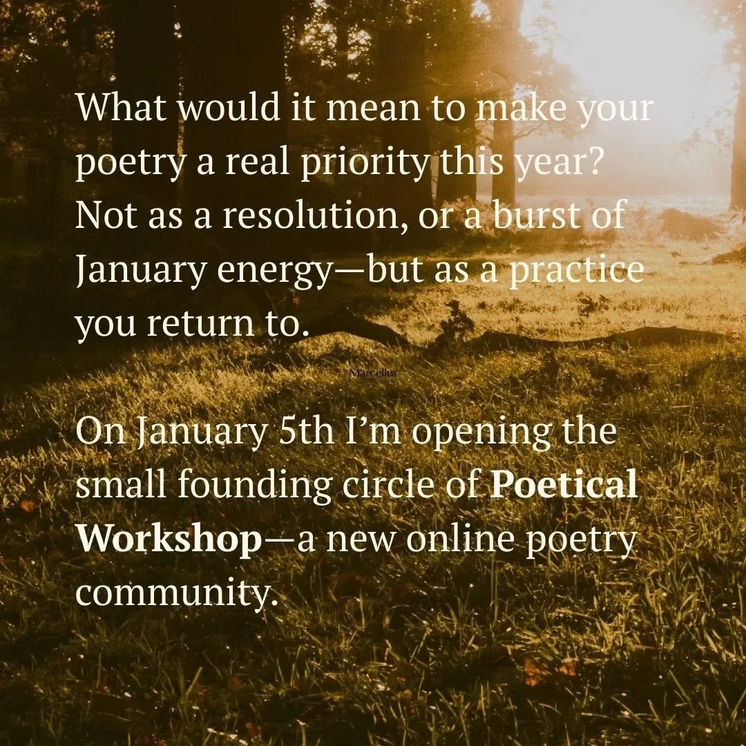 Poetical Workshop is filling up! Just a few places left. Join us for thoughtful, in-depth resources and sessions, careful feedback, a nurturing community, and guest poets including Sarah Howe, JLM Morton and Kayo Chingonyi. Details at poeticalworksho
