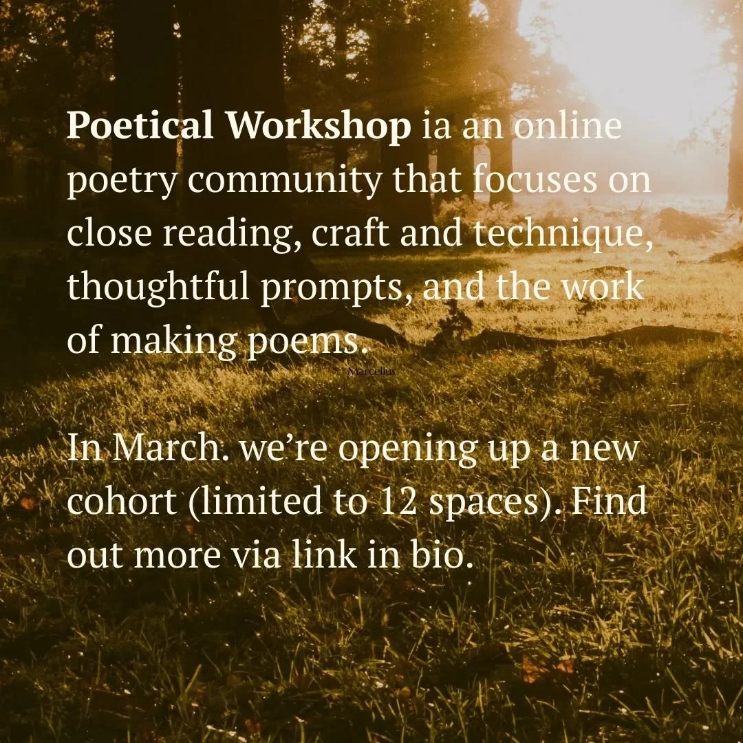 The Poetical Workshop founding Circle has been meeting since January this year. In March, I'm opening up a new cohort with spaces limited to 12. If you'd like to hone your craft and build a sustainable practice as part of a supportive community, this