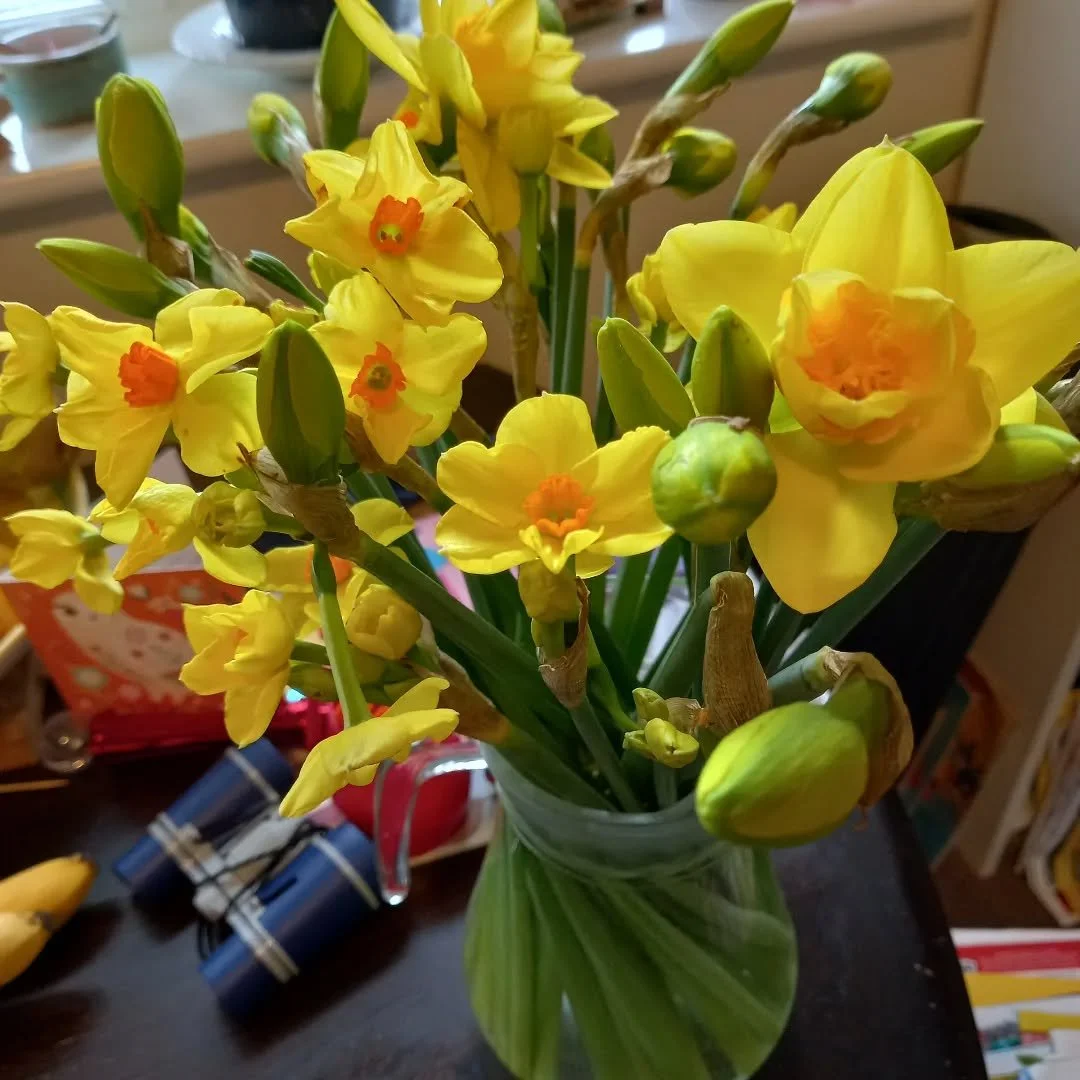 Maybe the best grocery order substitution ever! (giant fancy bunch of daffodils instead of a &pound;1 one). 

#grateful #smallwins