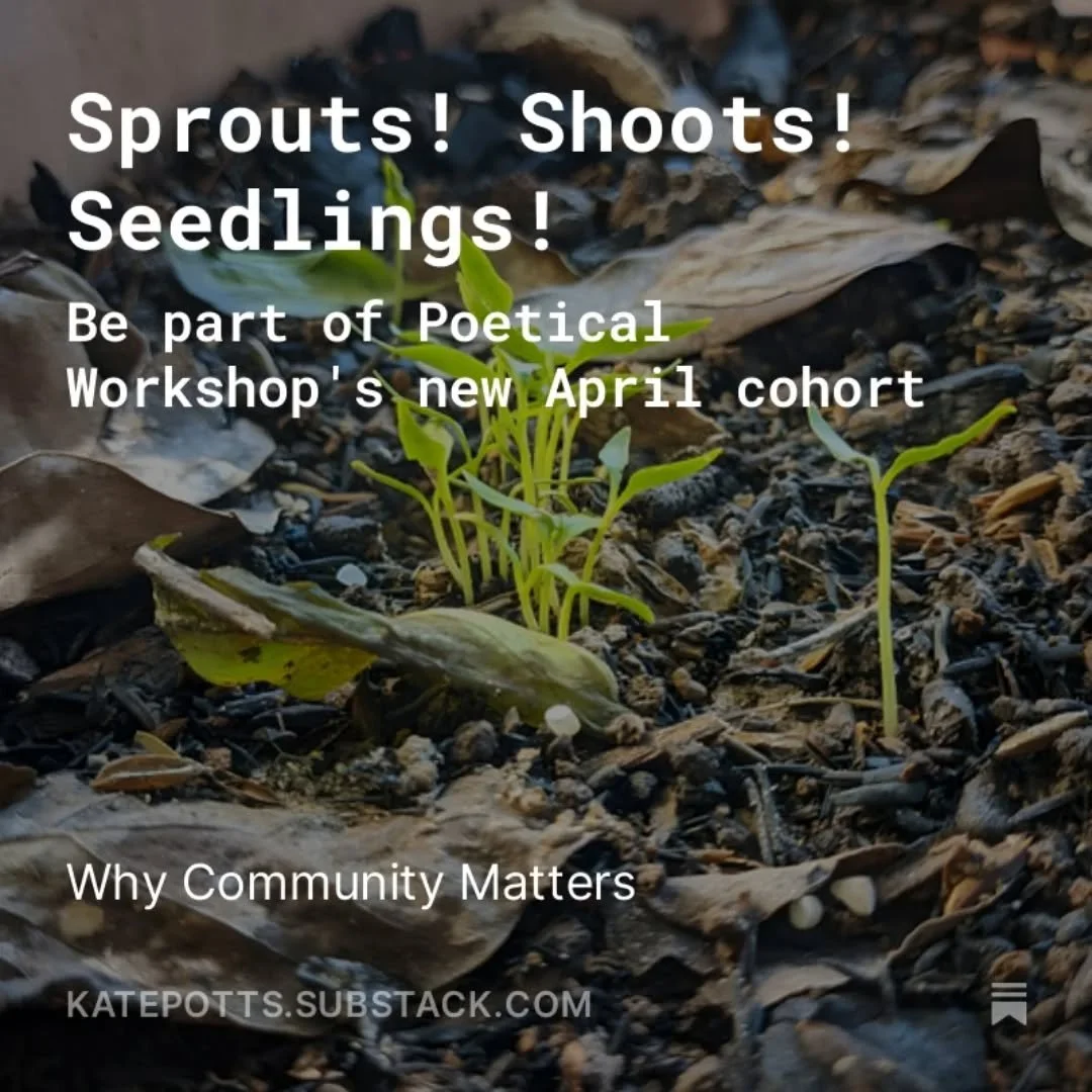 Poetical Workshop is opening its new April cohort! 
We're an online community for poets who want to write regularly, experiment, get feedback, and grow their craft together. 

Read more about the April cohort in my substack.

Join the waiting list by