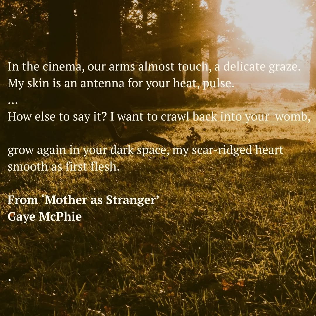 Some lines written in Poetical Workshop by @gaye.mcphie in response to Sarah Howe's brilliant prompt and resource on touch back in January this year. 

Poetical Workshop is a craft-focused community for poets who want to write more regularly, revise 