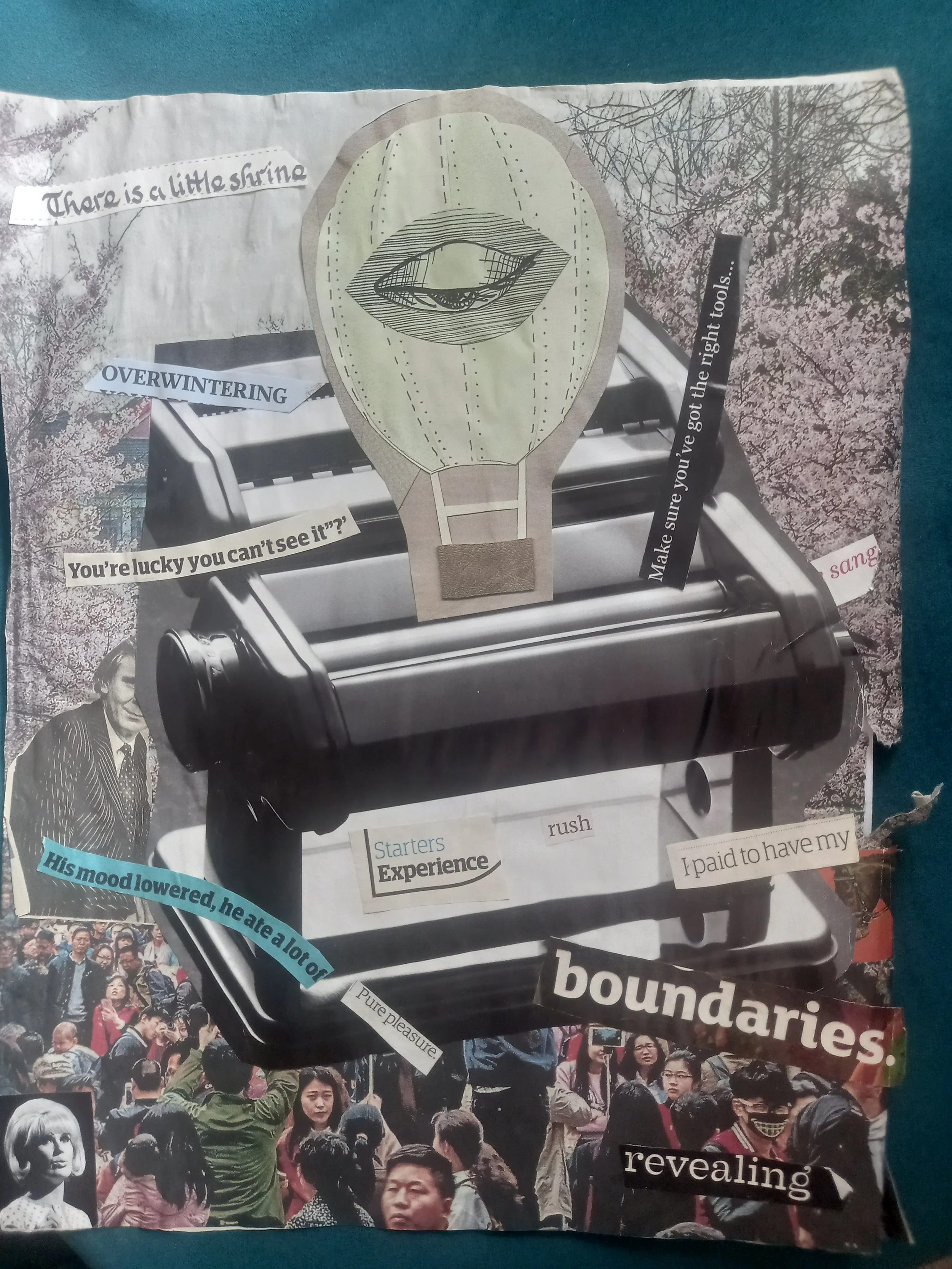 Cut, Rework, Reveal: Collage and Erasure in Poetry