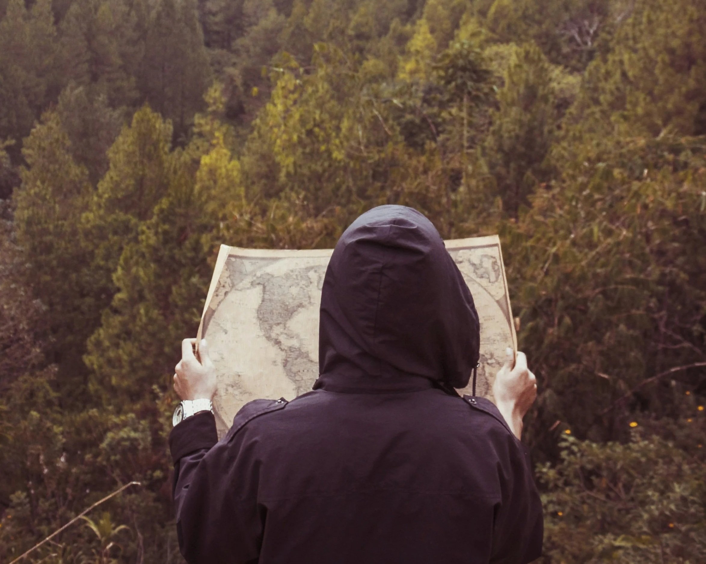Person holding map and looking into a forest landscape.