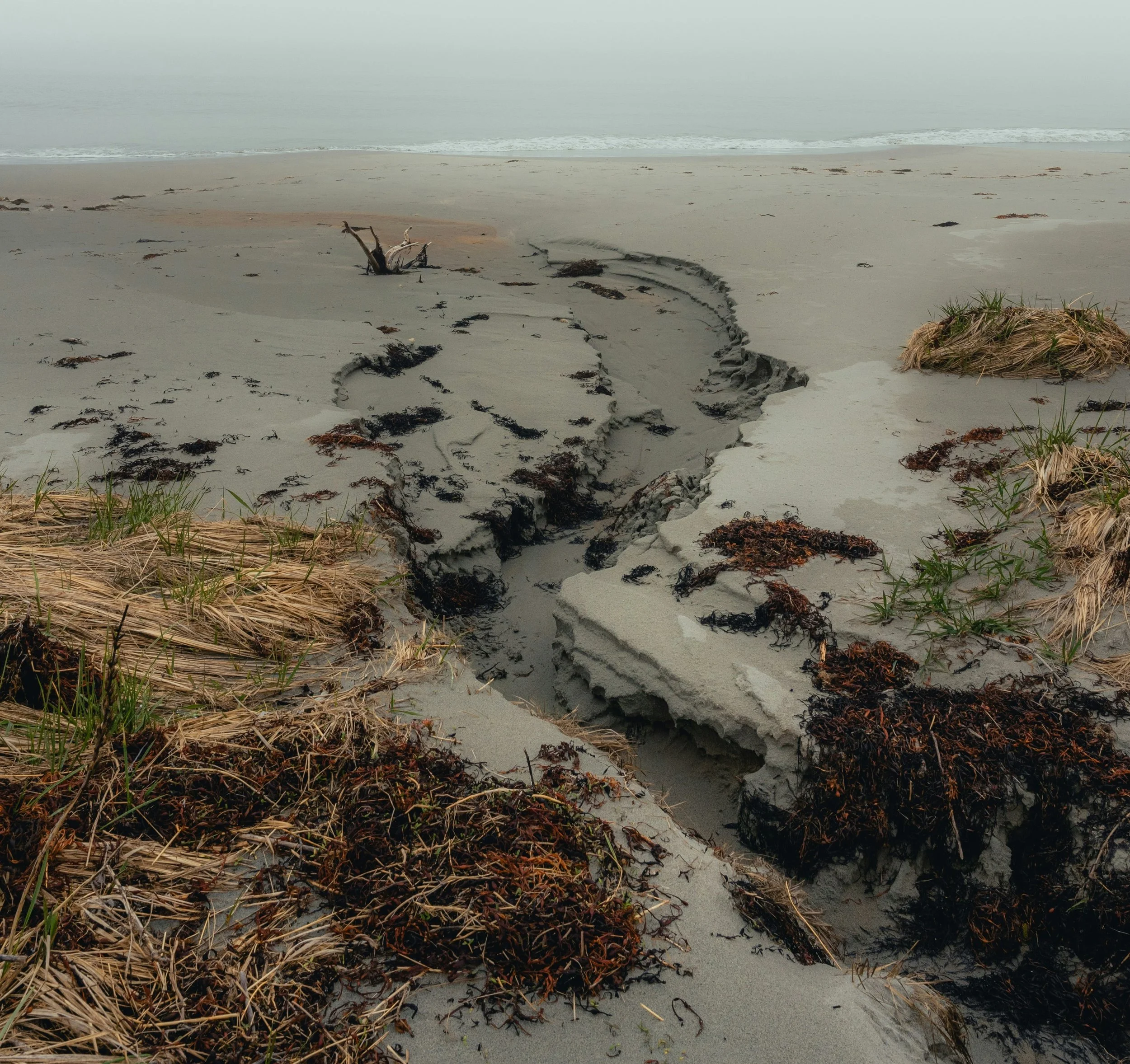 Sandy beach and sea's edge