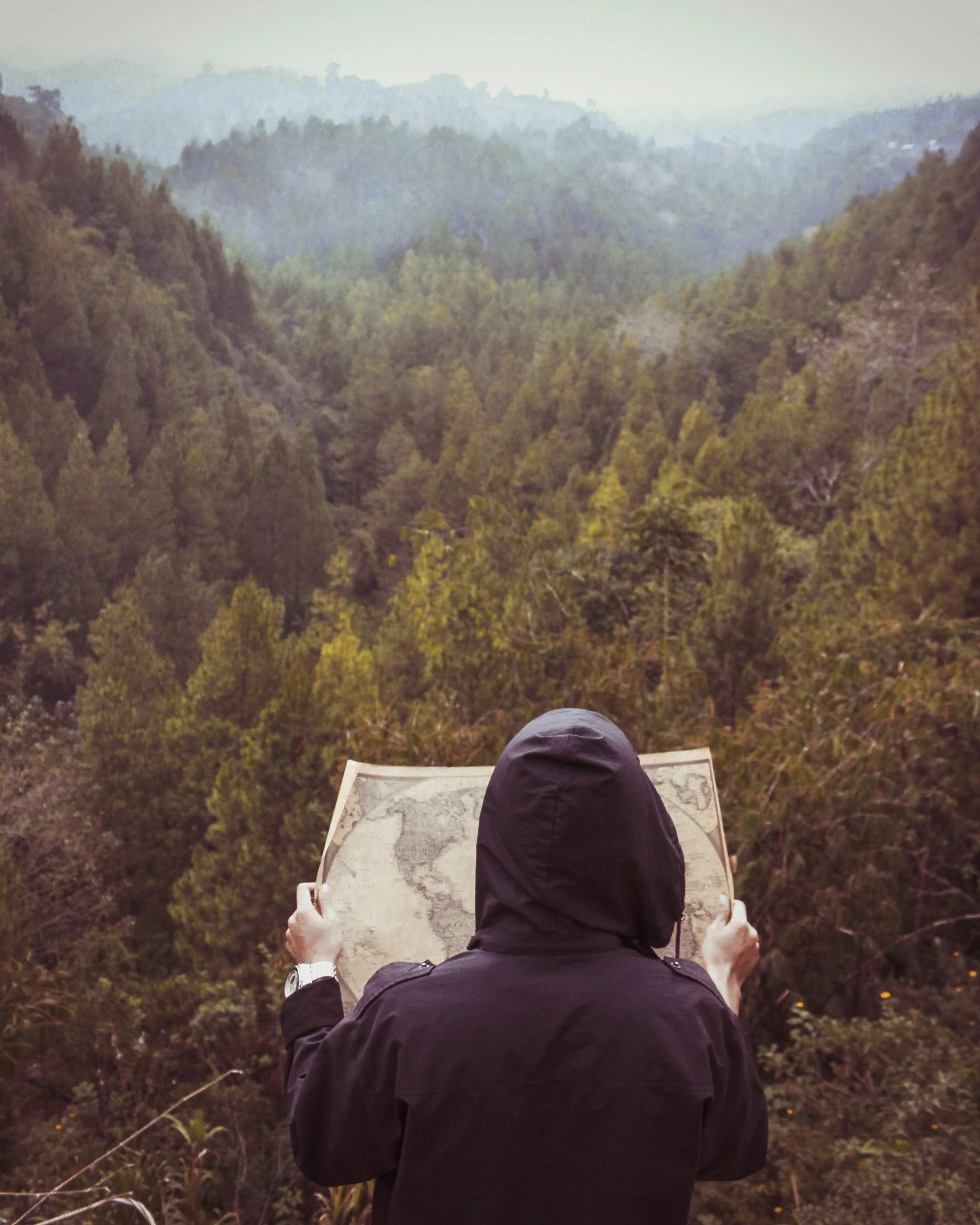 person holding map and looking at a forest.