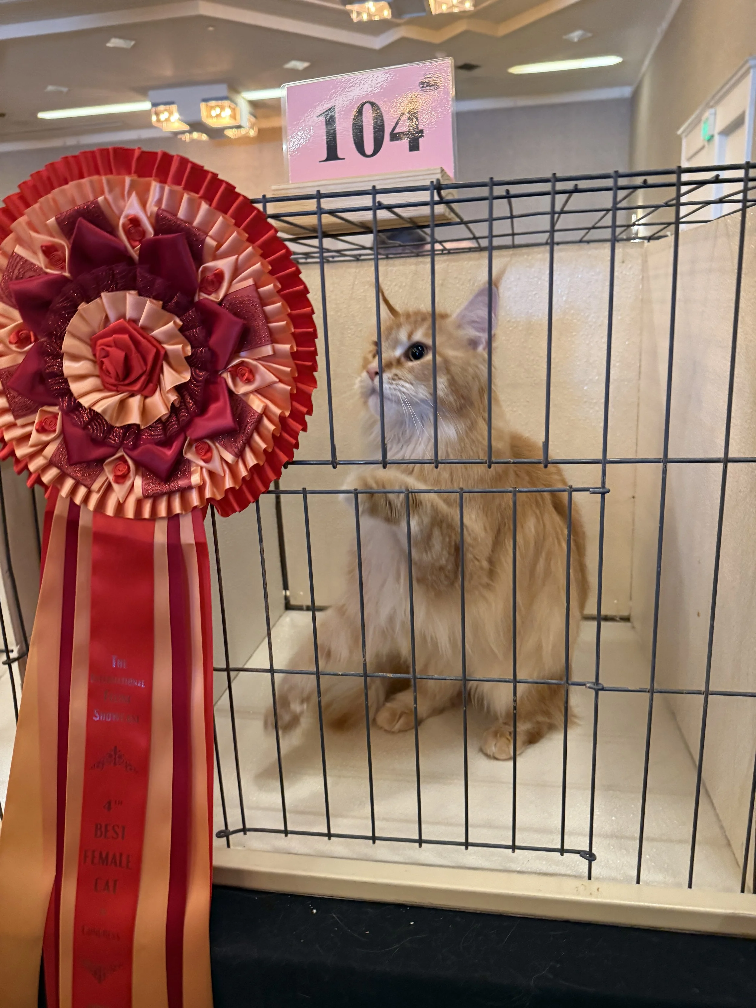 Another Win for Abby! 