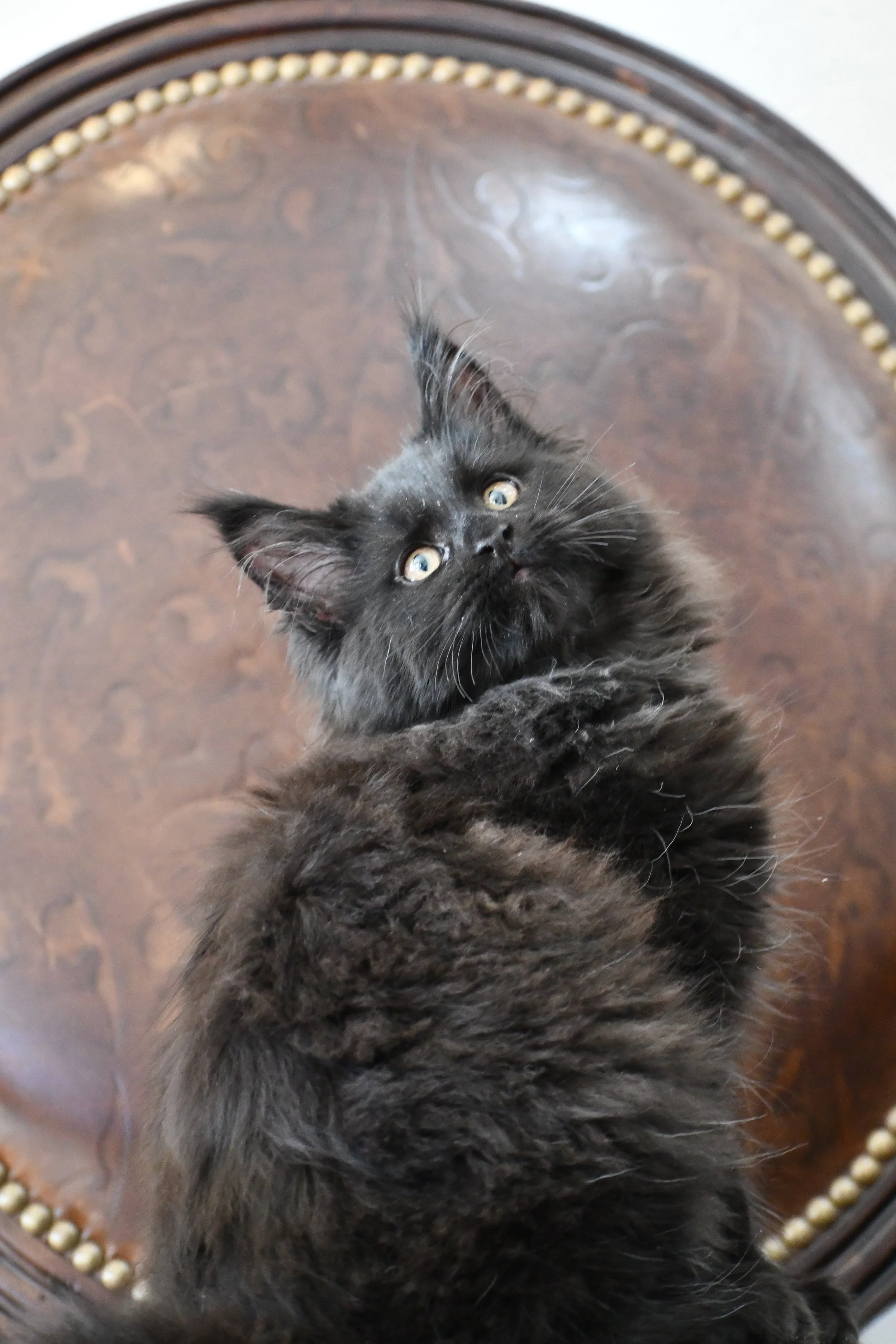 DSC_2547.JPG