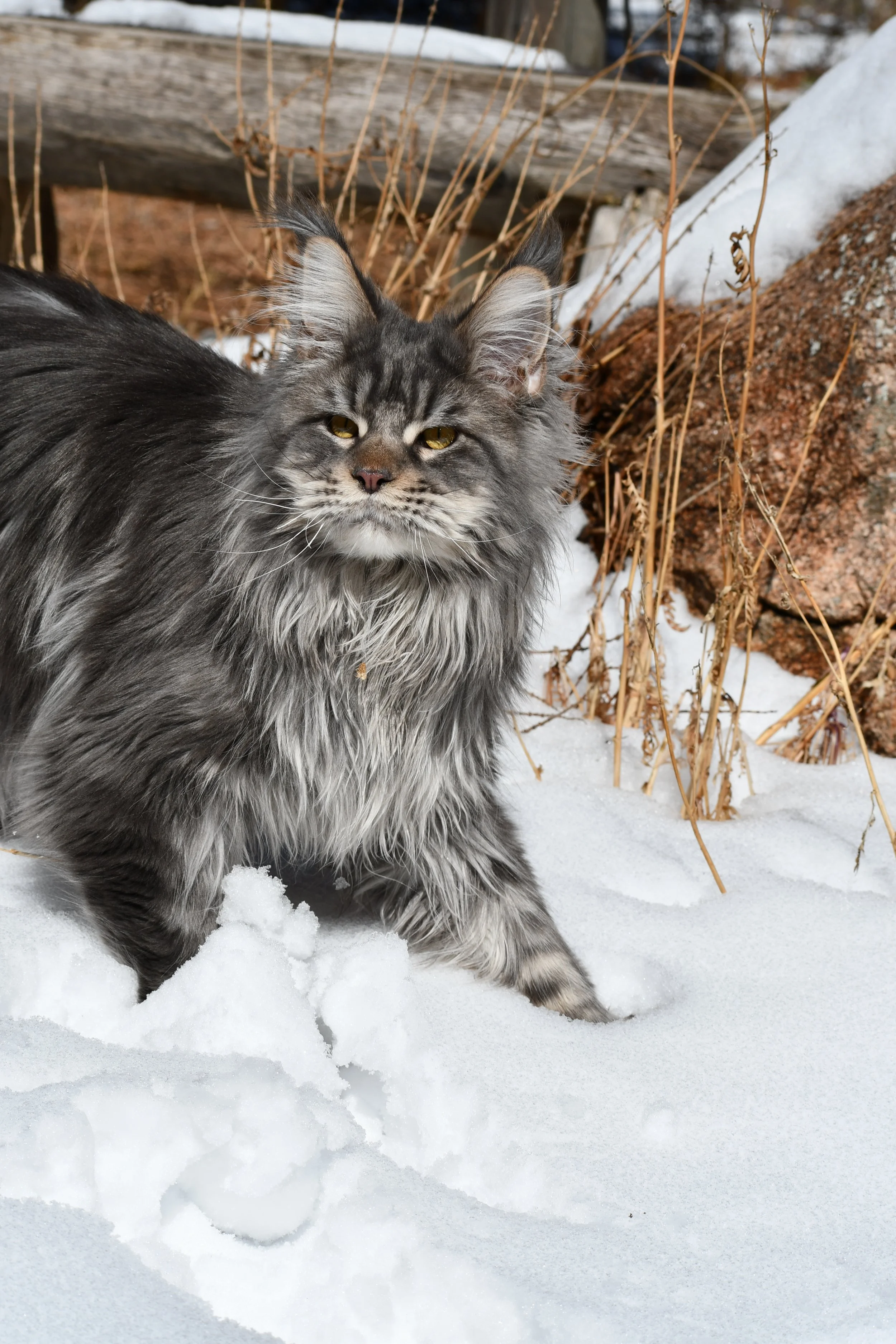 We now offer Buy Now, Pay Later via Klarna PayPal Invoicing!