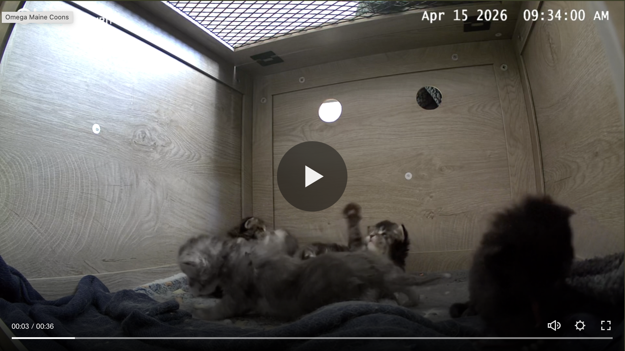 Welcome to ‘F’ Litter 