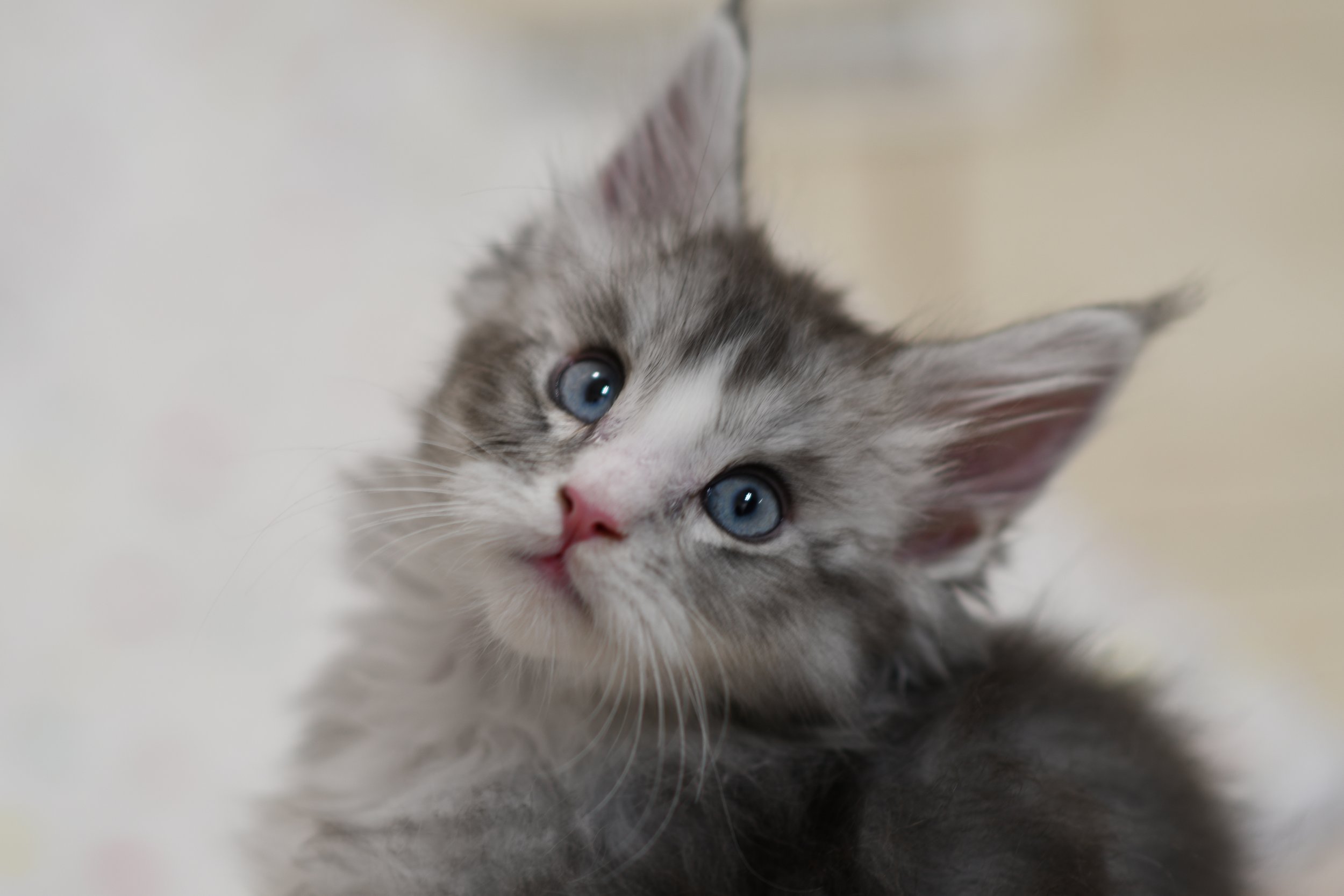 DSC_3389.JPG