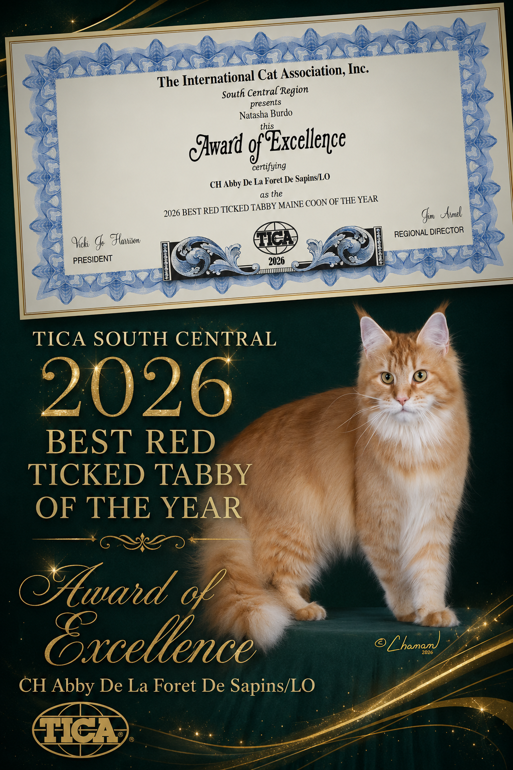 Join Us In Congratulating Abby on Her Win of  Best Red Ticked Tabby of the Year for 2026 SC Region of TICA 