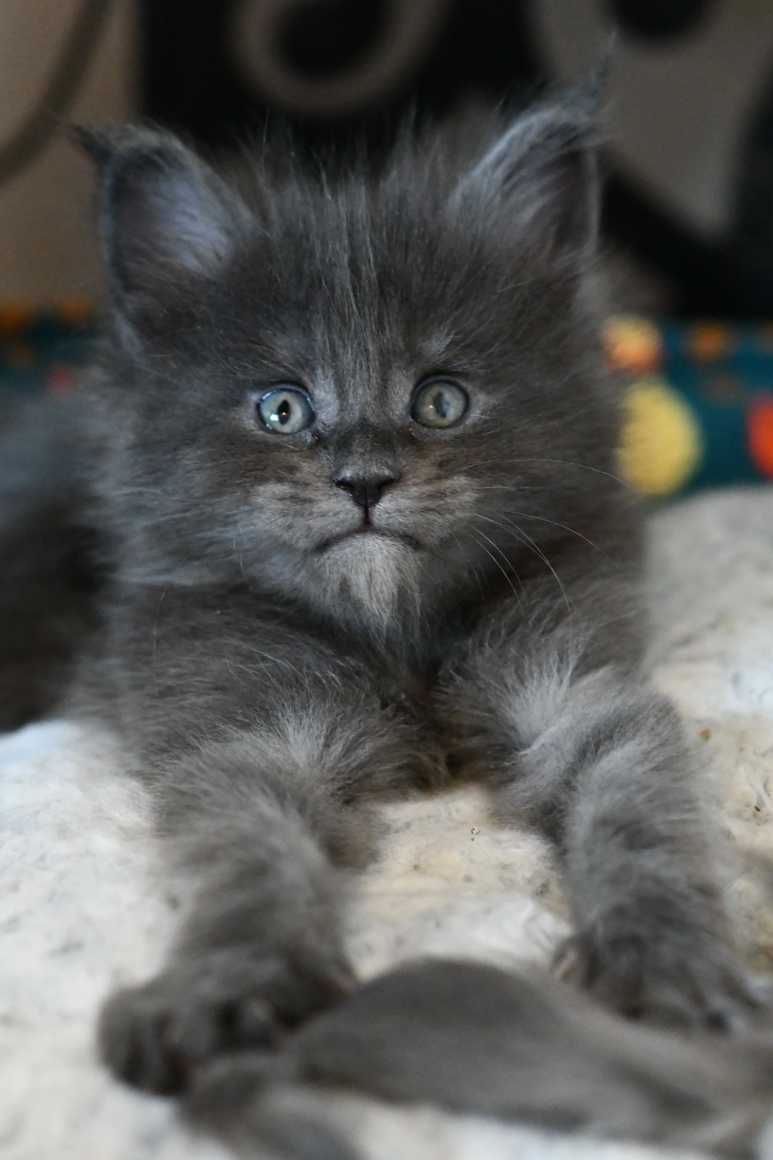 DSC_5281.JPG