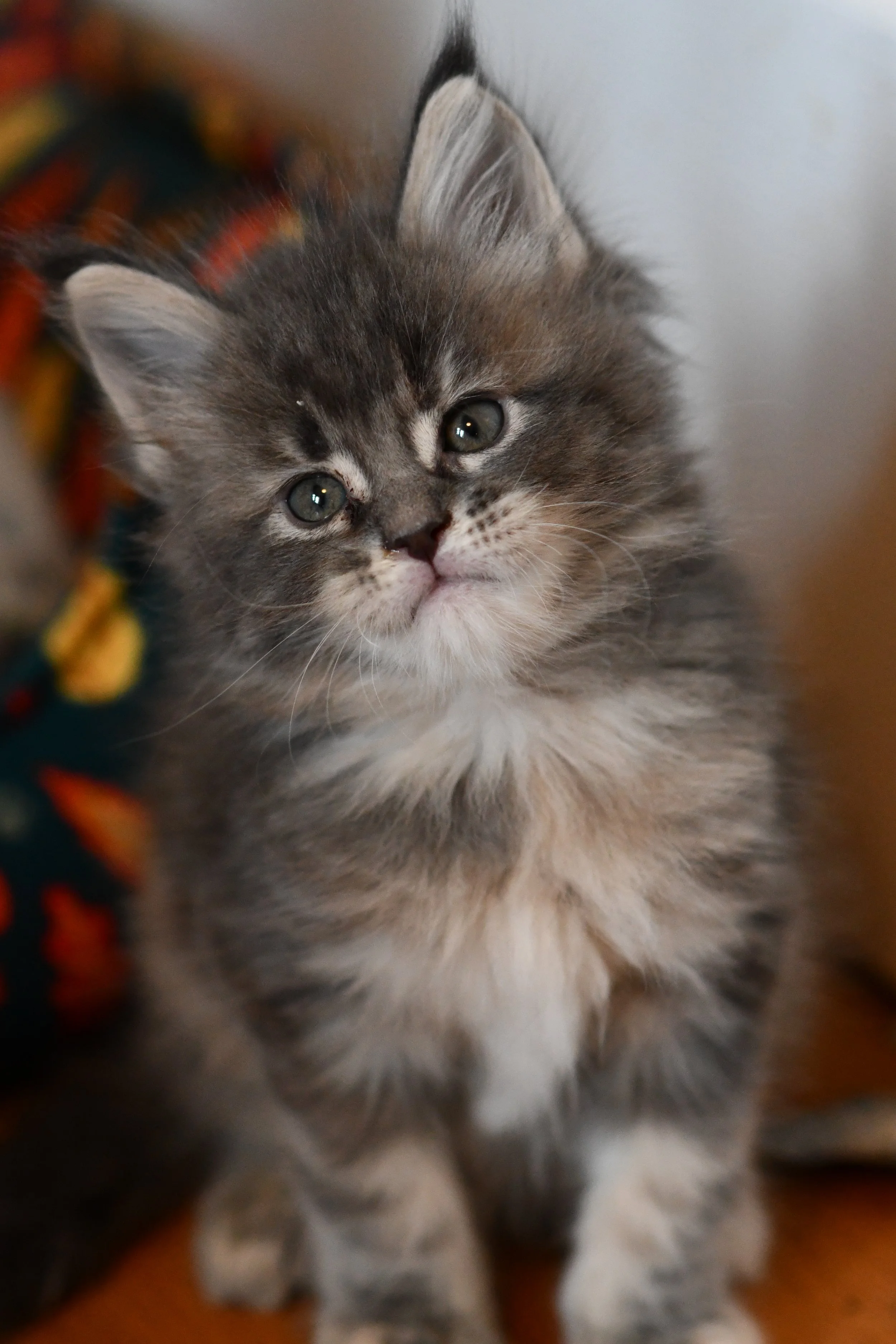 DSC_5318.JPG