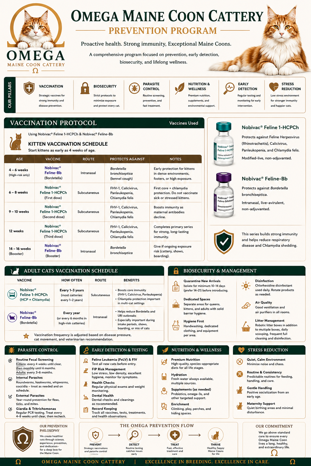 A detailed infographic for Omega Maine Coon Cattery's prevention program, including vaccination schedules, biosecurity, parasite control, early detection, health checks, nutrition, stress reduction, and overall wellness for cats.