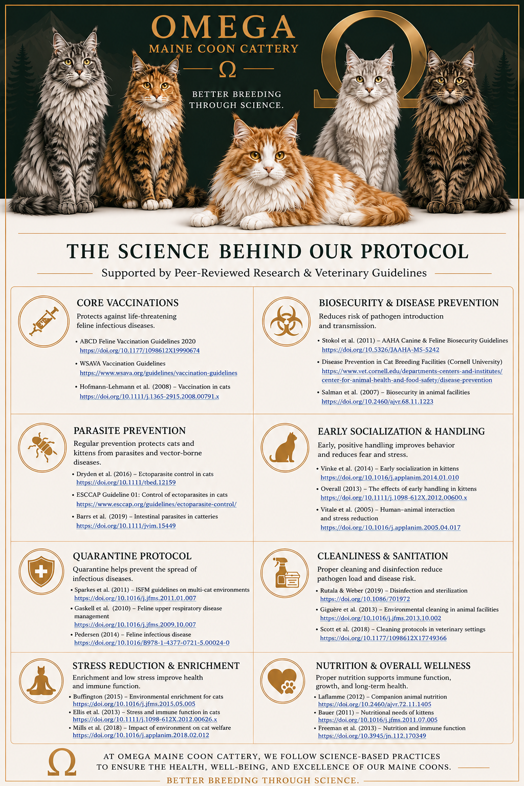 Poster for Omega Maine Coon Cattery with images of five Maine Coon cats, info on science-backed breeding practices for health and safety, and guidelines on vaccinations, disease prevention, parasite control, quarantine, stress reduction, sanitation, nutrition, and socialization.