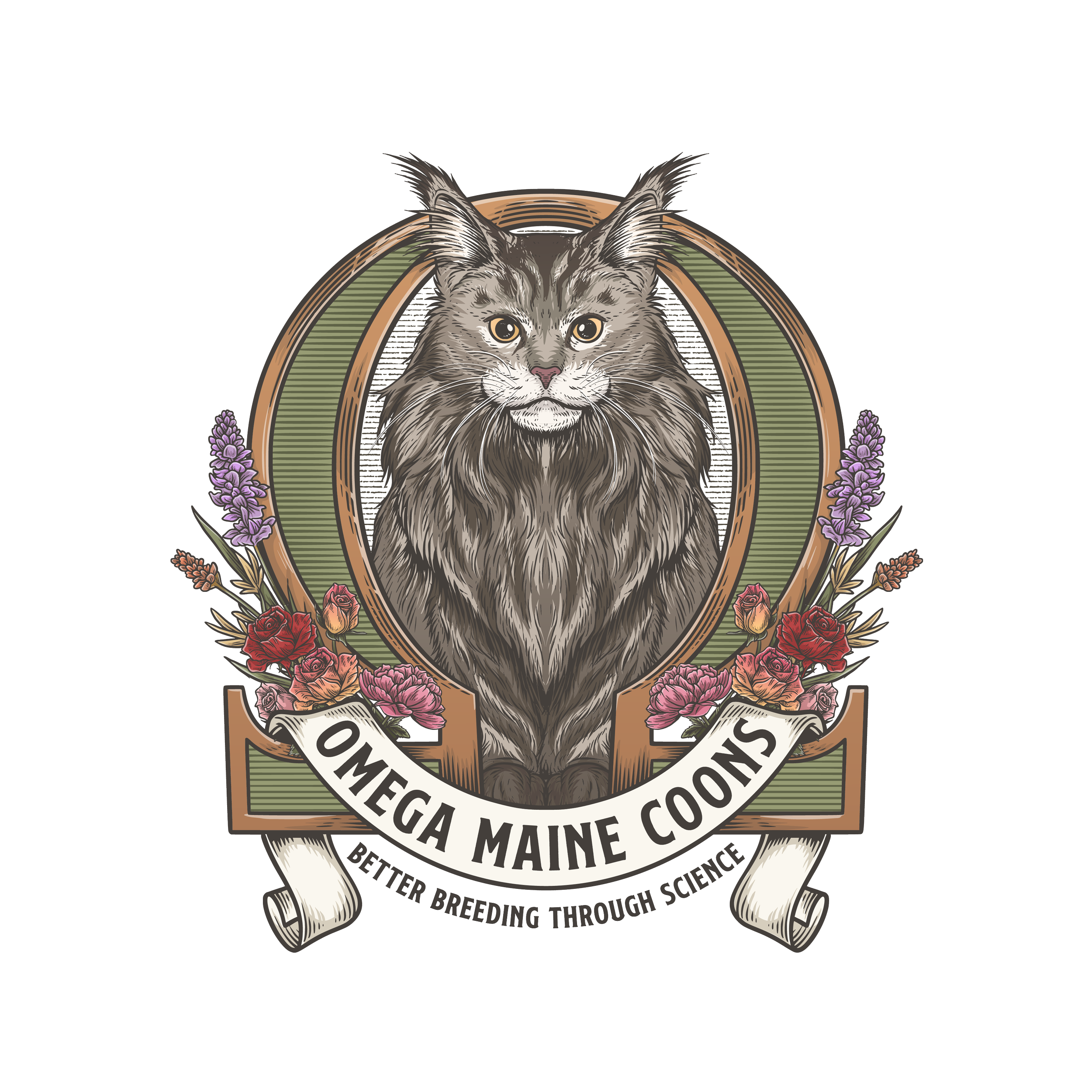 Omega Maine Coons | Discover Majestic Maine Coon Companions, image size:2500x2500