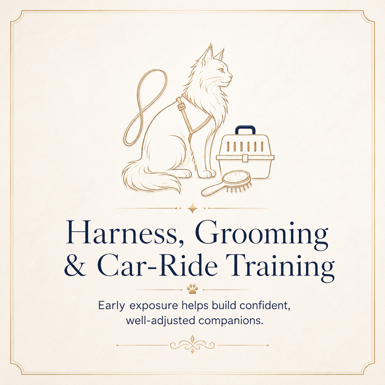 Harness, Grooming and Ca- Ride Training