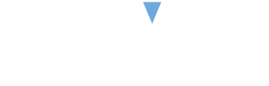 ABOUT US — HVN Development