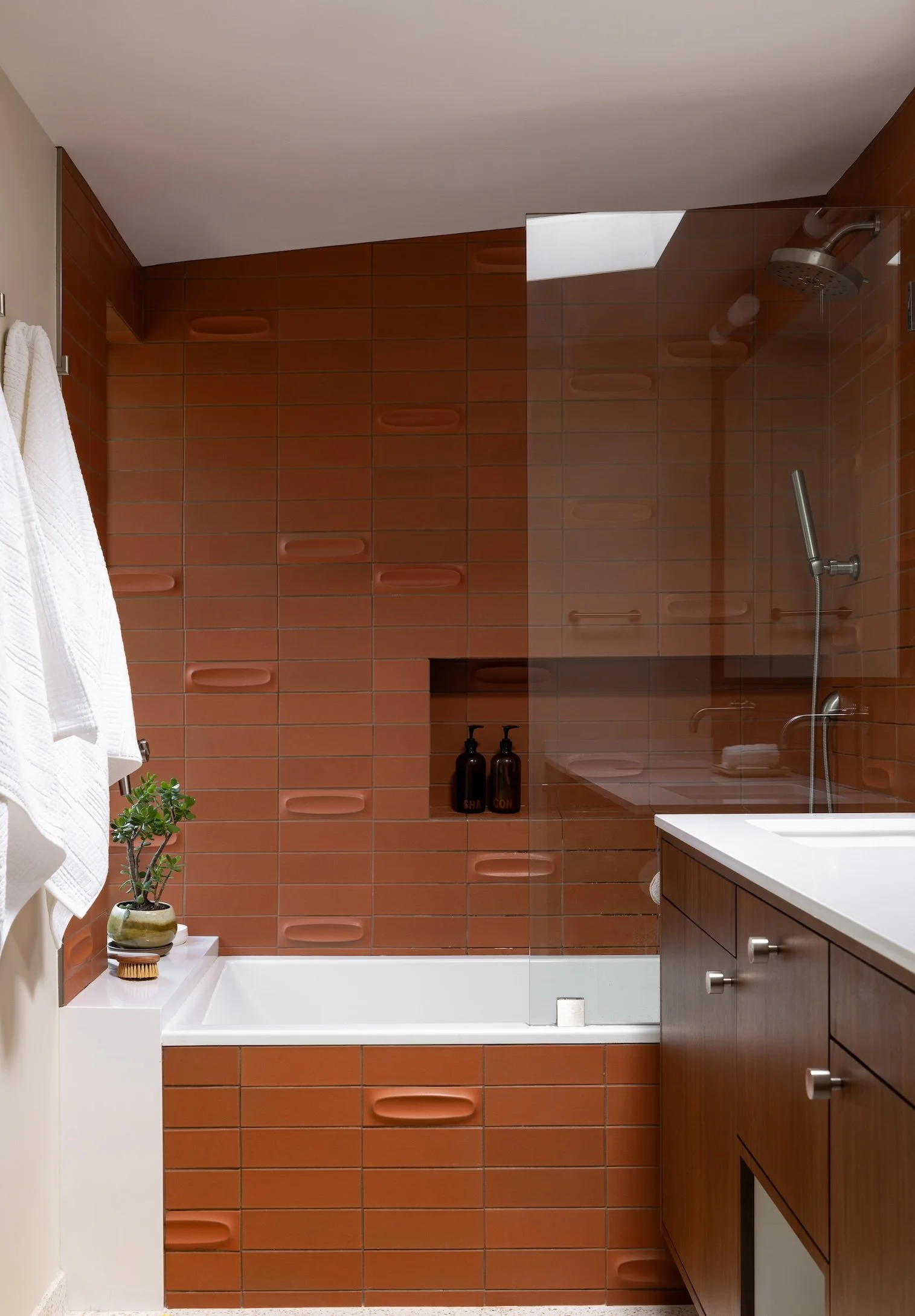 terra cotta dreams cropped.jpeg