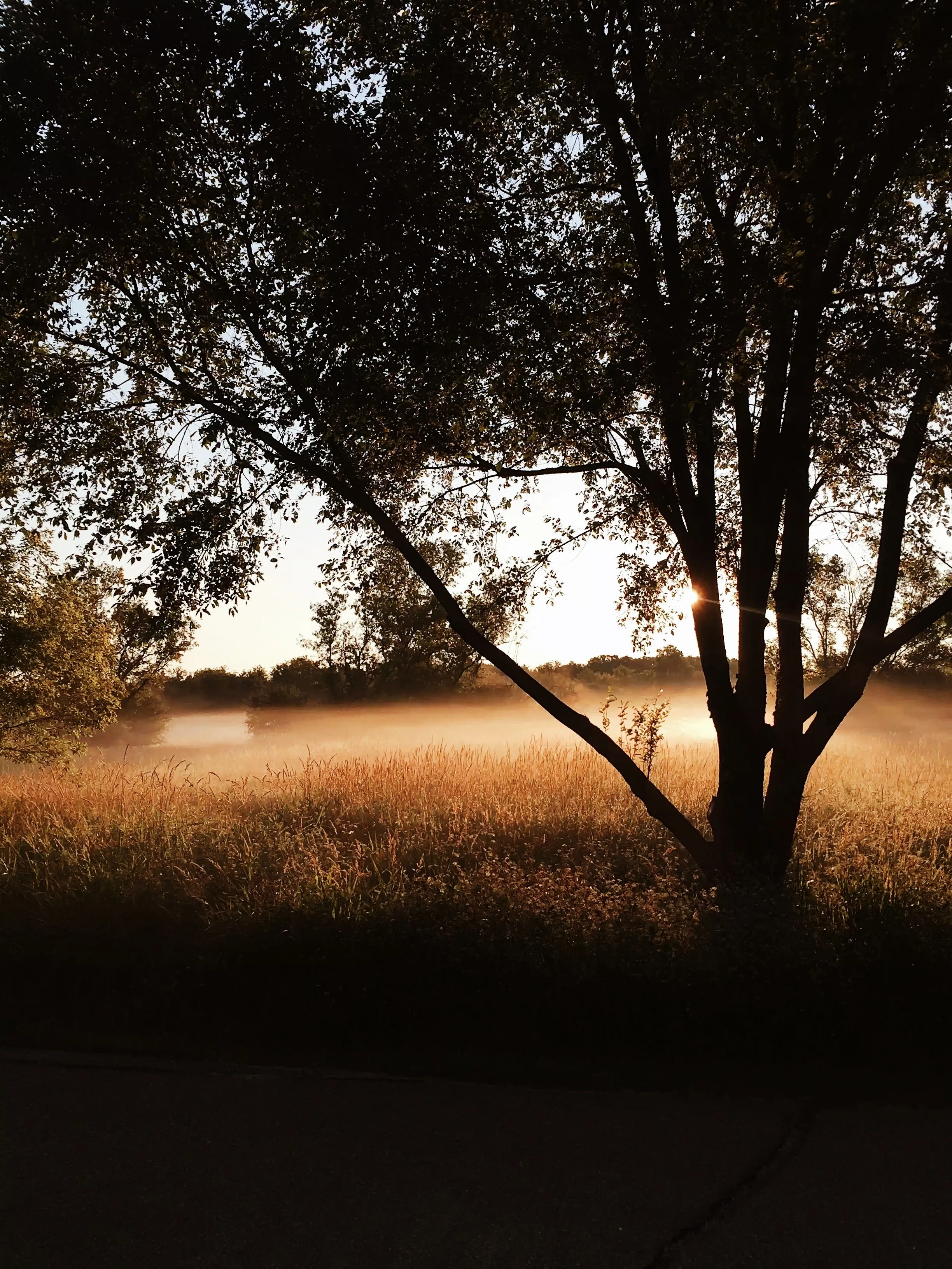 06:09. My running trail.