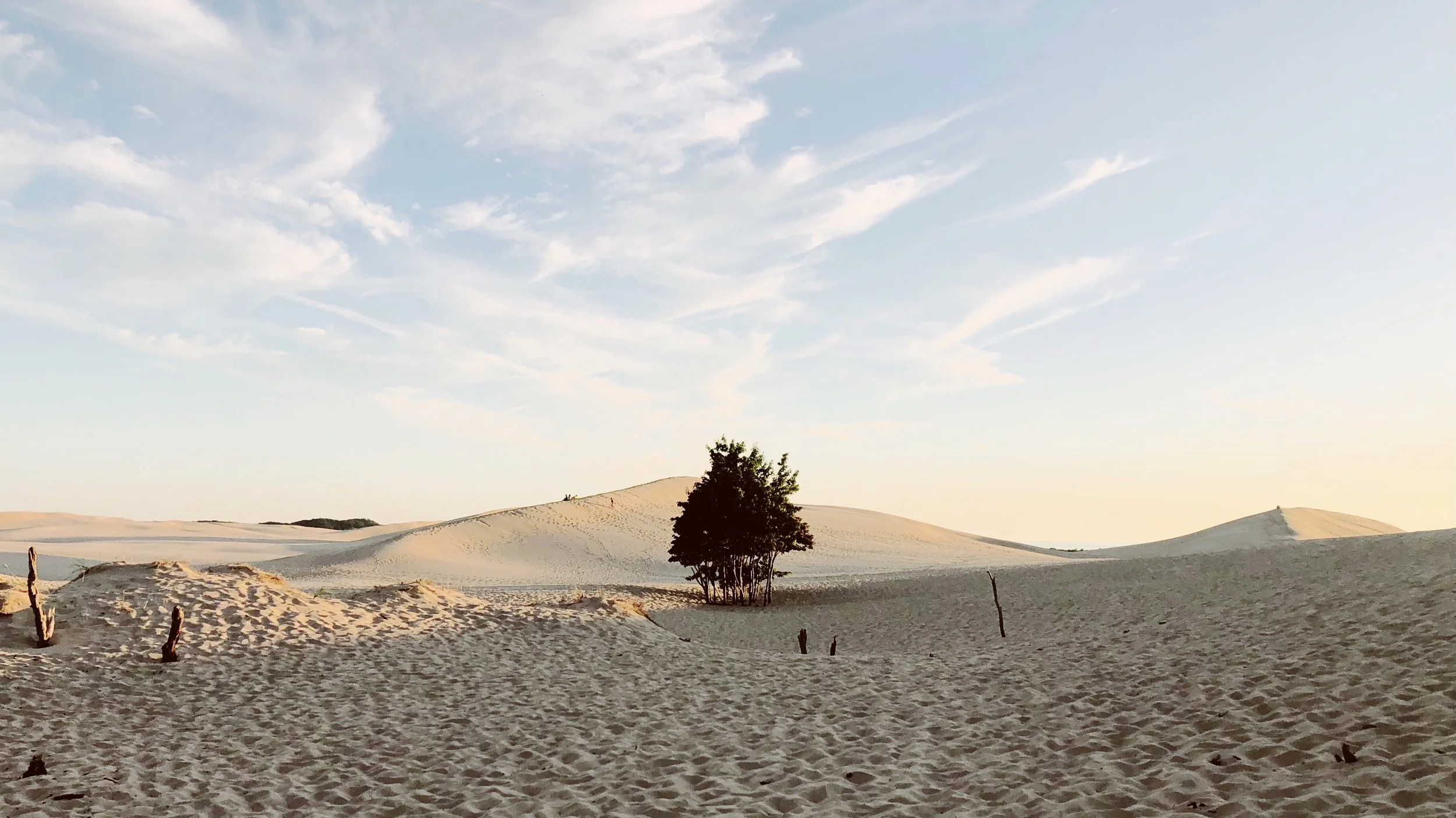 #10 Silver Lake Dunes Route