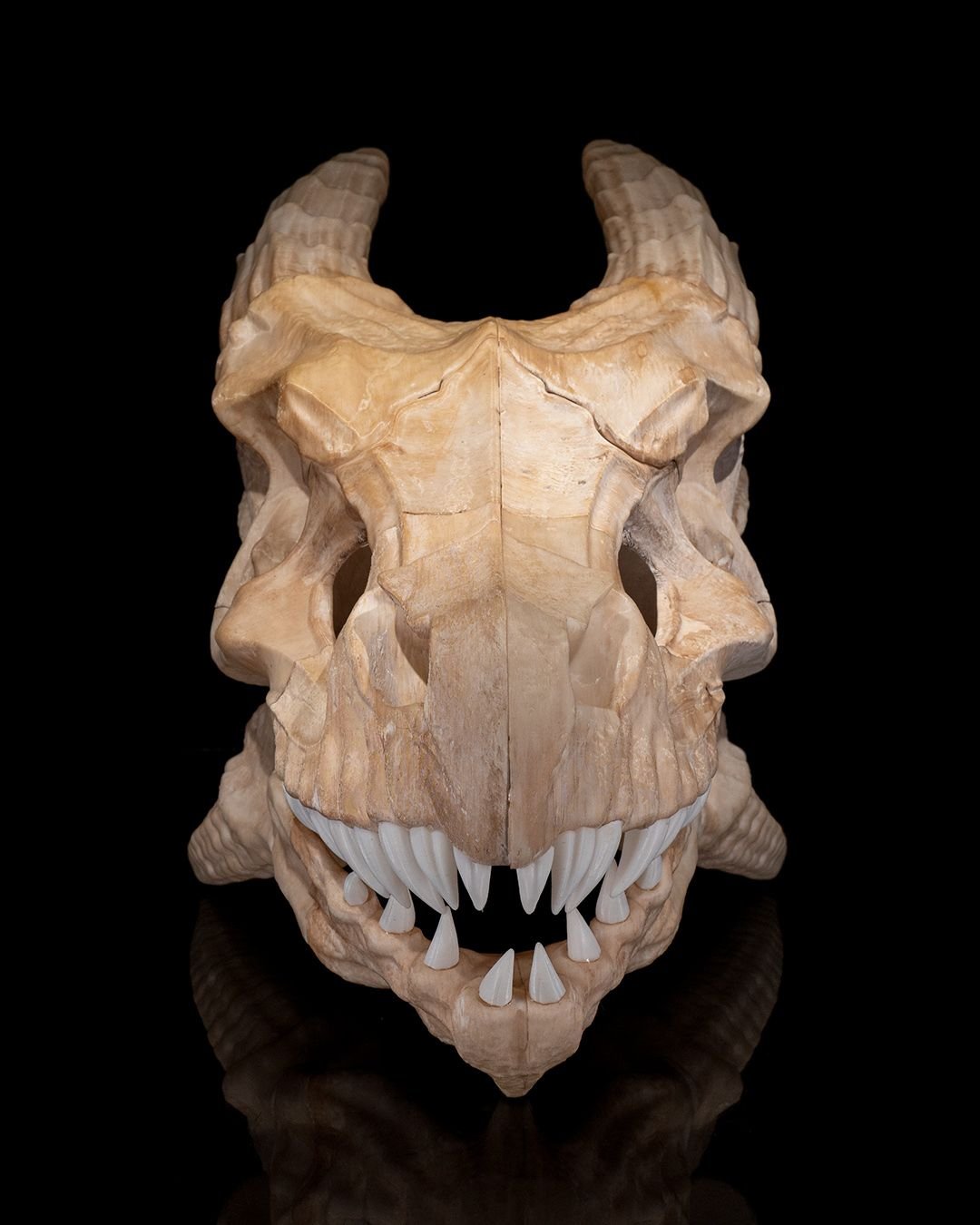 Epic_Red_Dragon_Skull_2_d08513e2b0.jpg