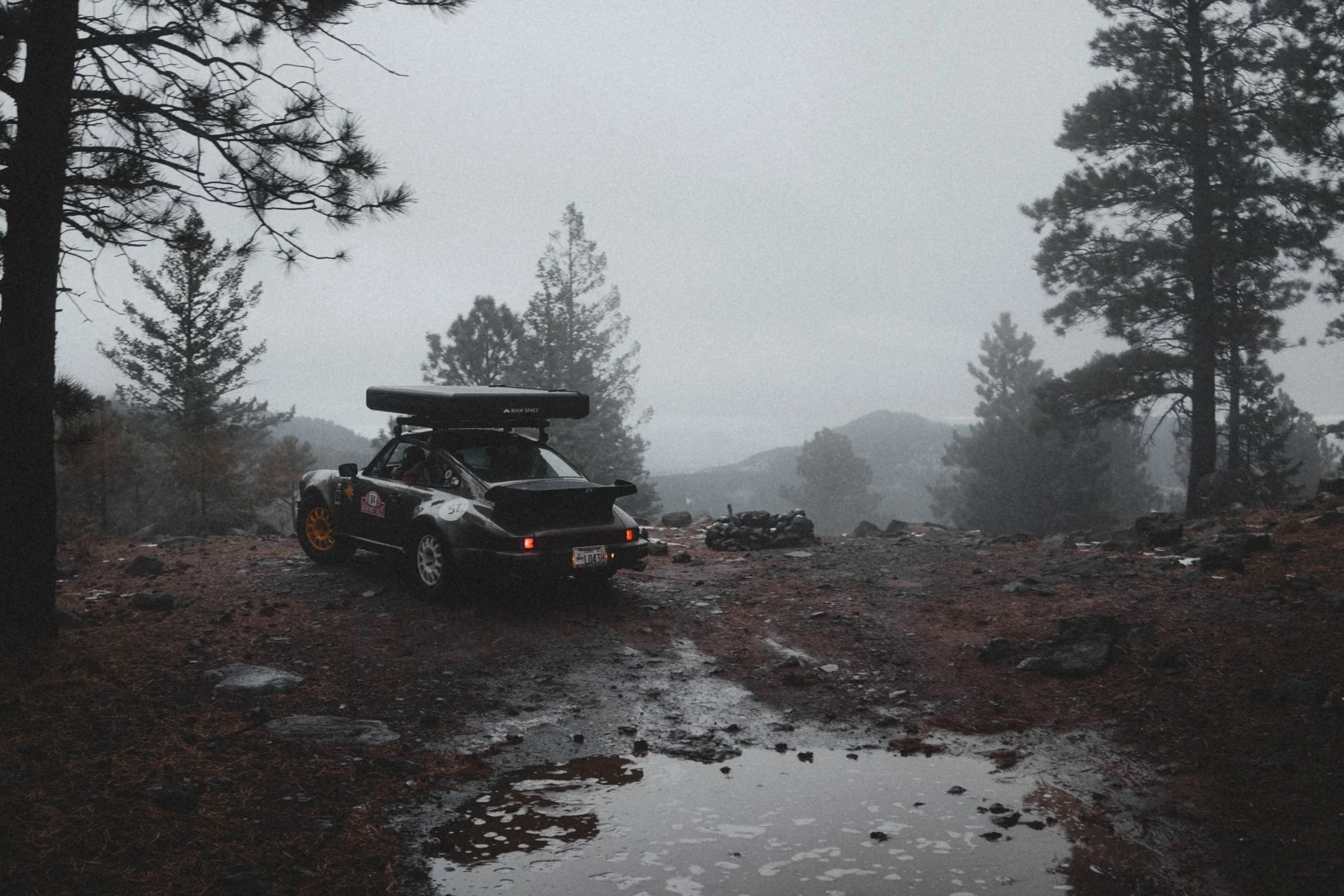 7X9A8164.jpg