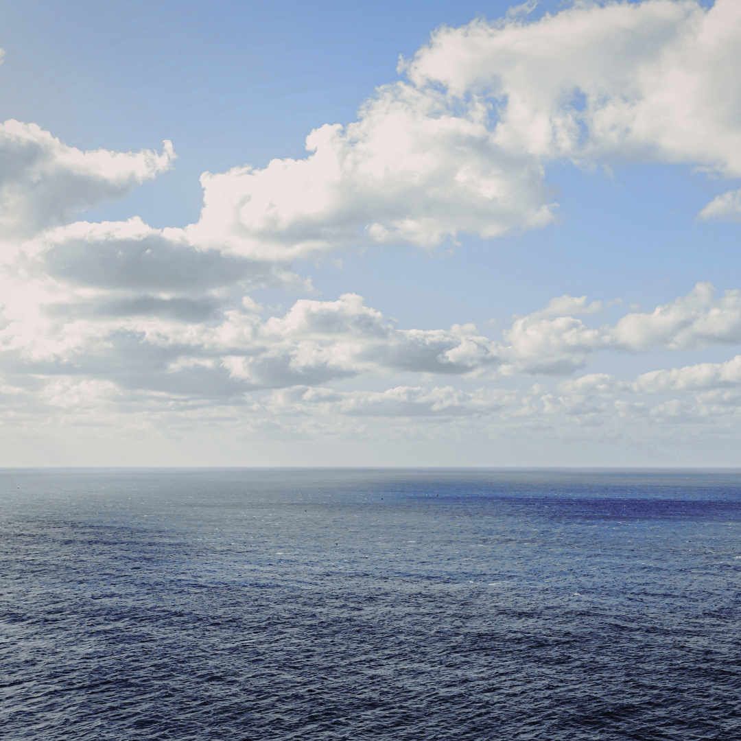 The Waterlogged Psychologist&nbsp;