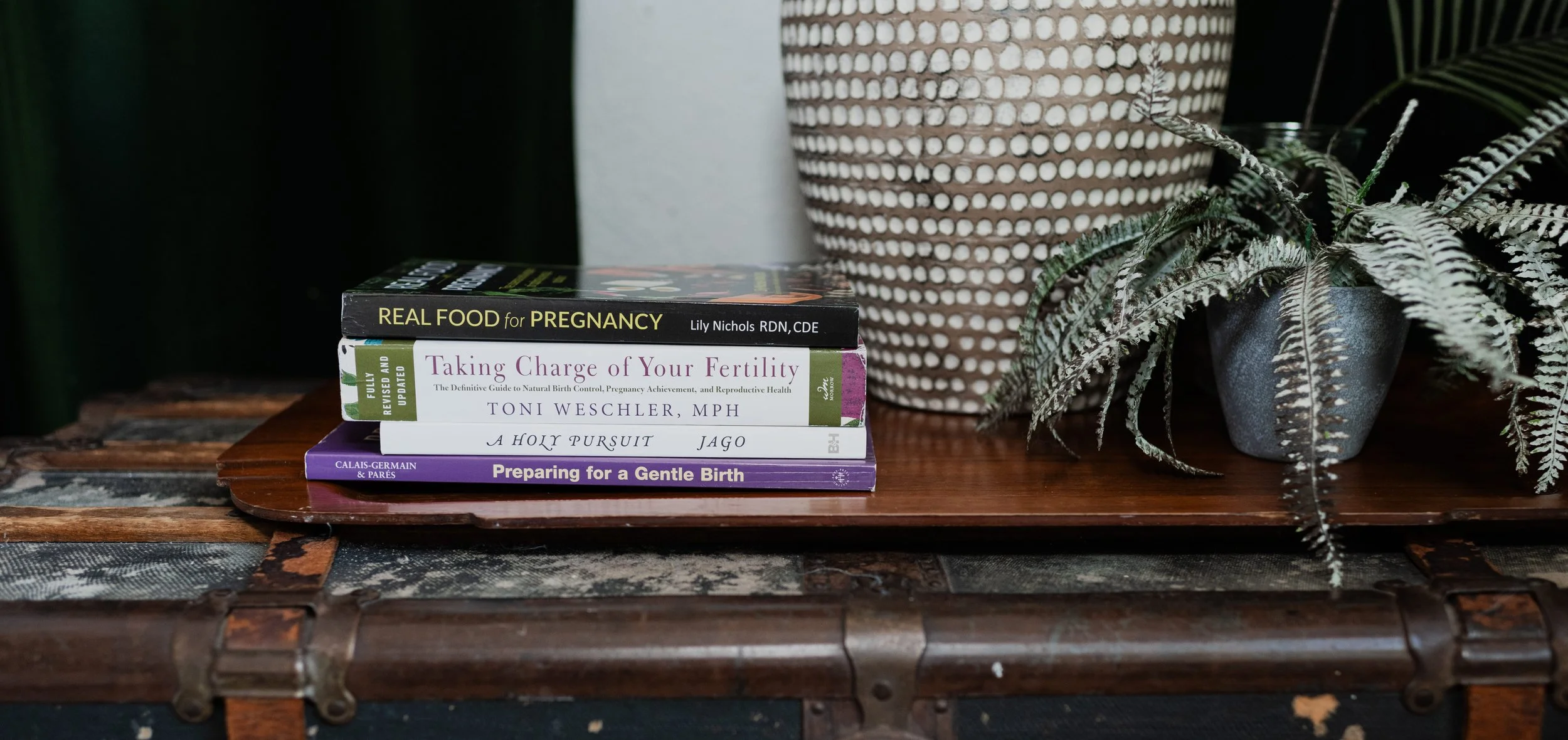 Doula books next to vase in South Tampa, Florida
