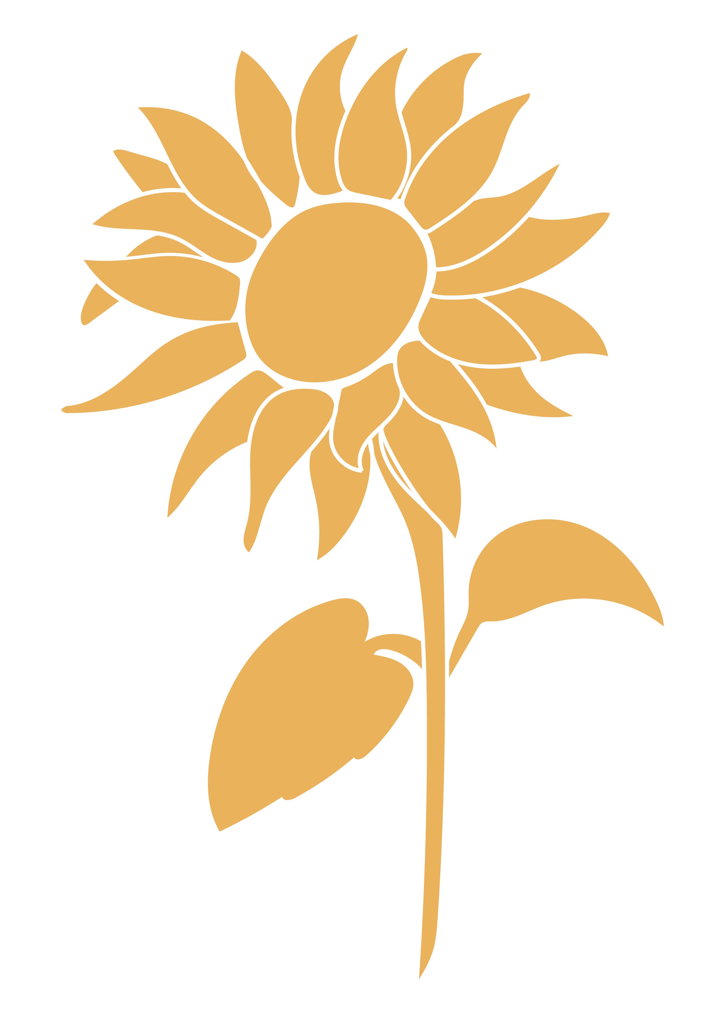 The Firm Foundation Doula Co sunflower graphic in yellow.