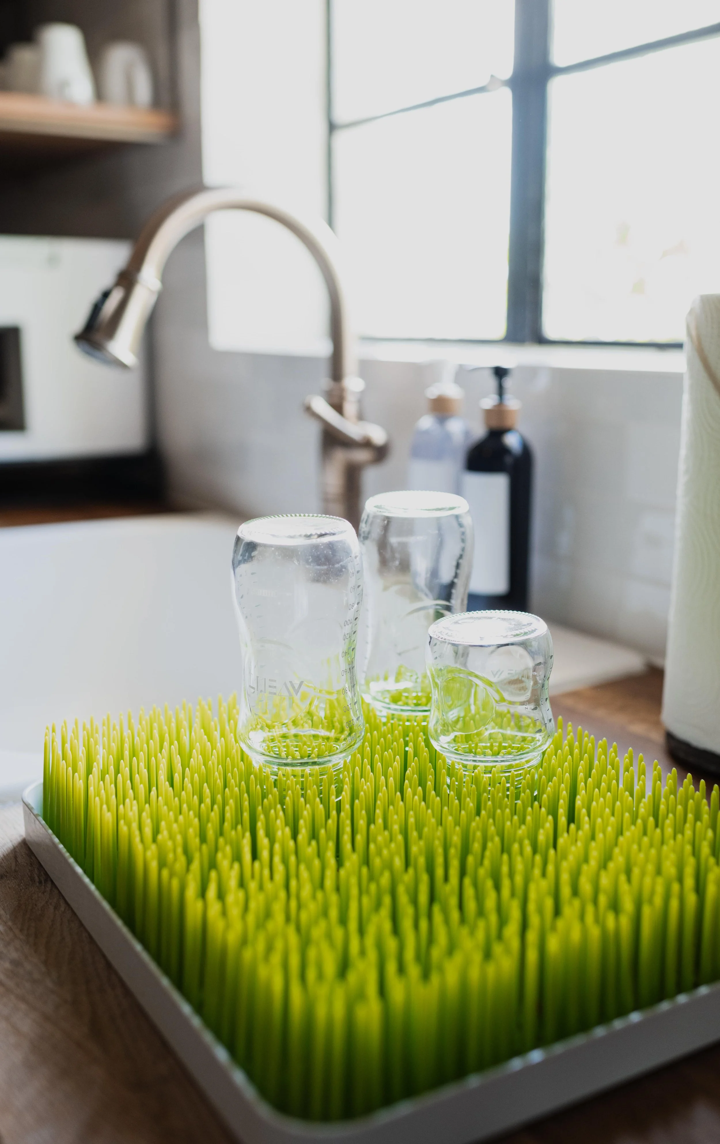 Clean empty bottles drying in kitchen in Tampa, Florida