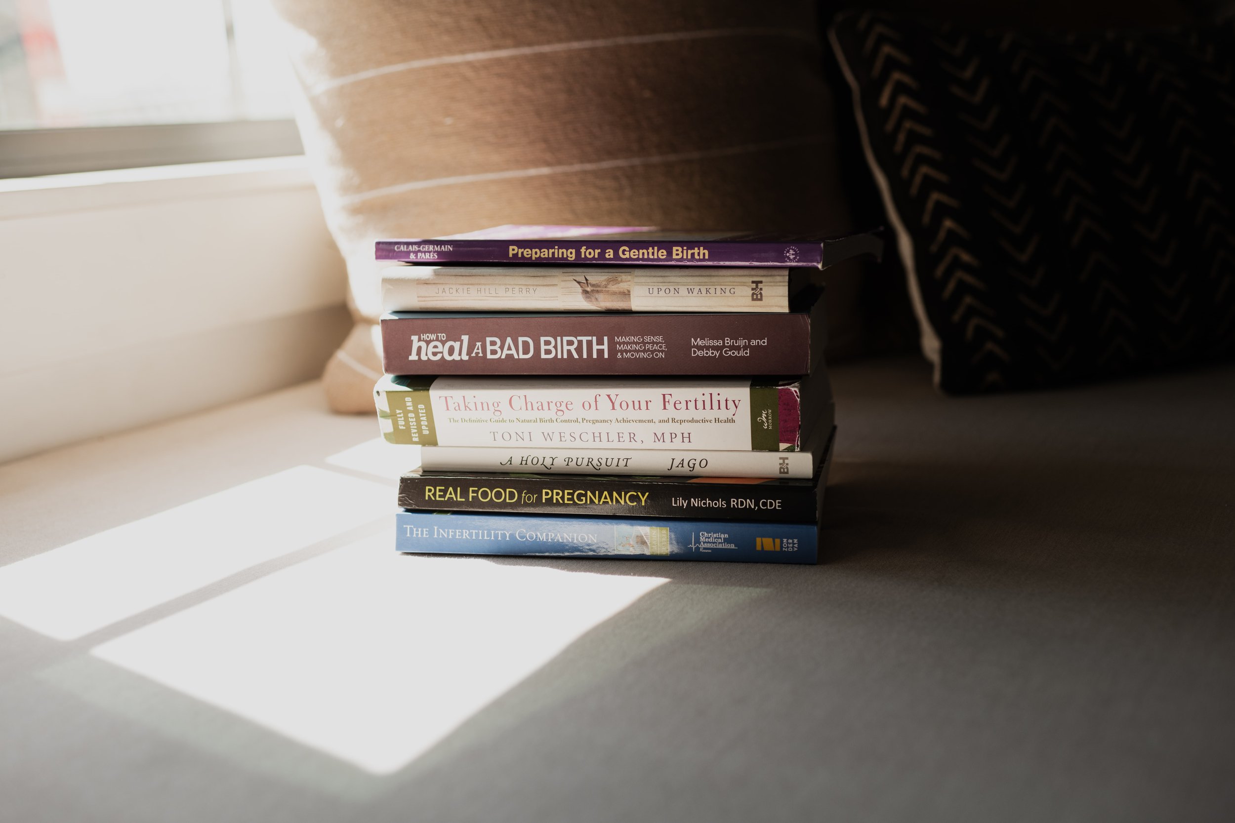 Doula, fertility, birth, and postpartum books near a pillow in Lithia, Florida.