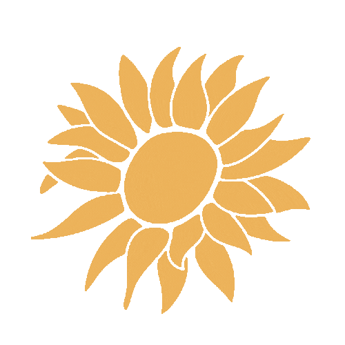 Firm Foundation Doula Co sunflower gif