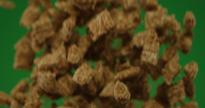 Kashi_05.gif