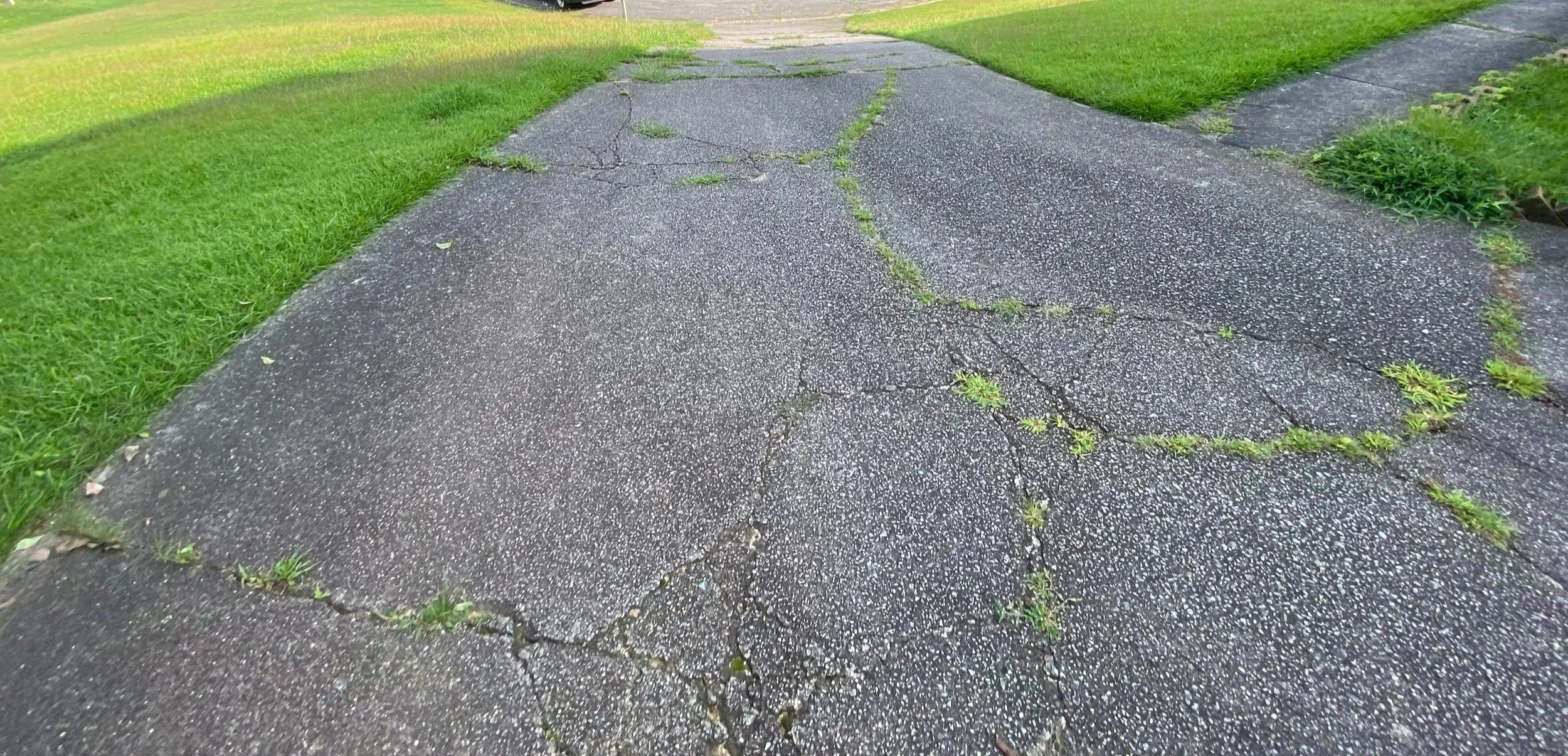 Cracked and uneven sidewalk with grass growing through the cracks.