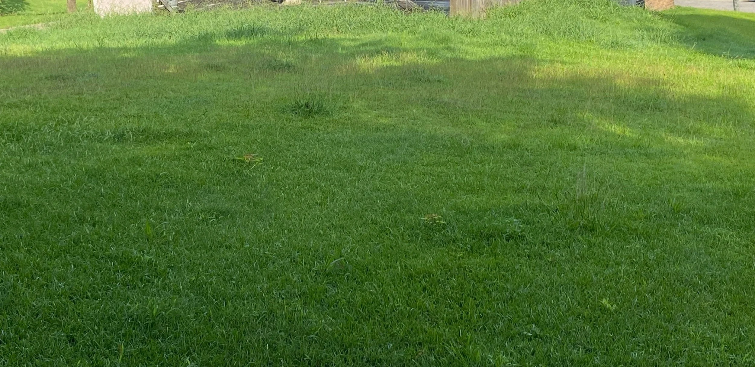 Green grass lawn with shadow and sunlight patches, some small weeds or plants.