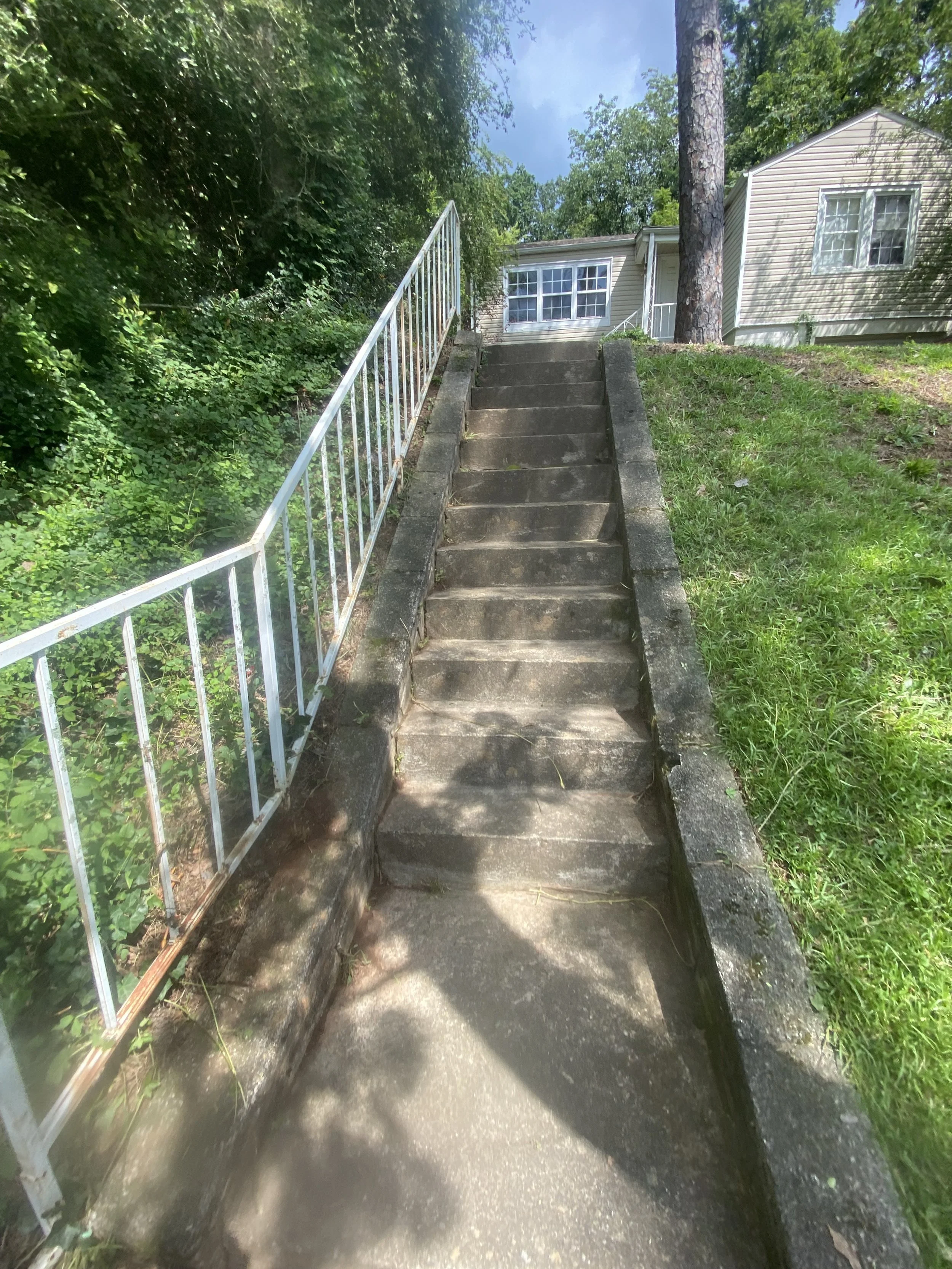 Concrete stairs with white metal railing leading up to a house, surrounded by greenery and trees.