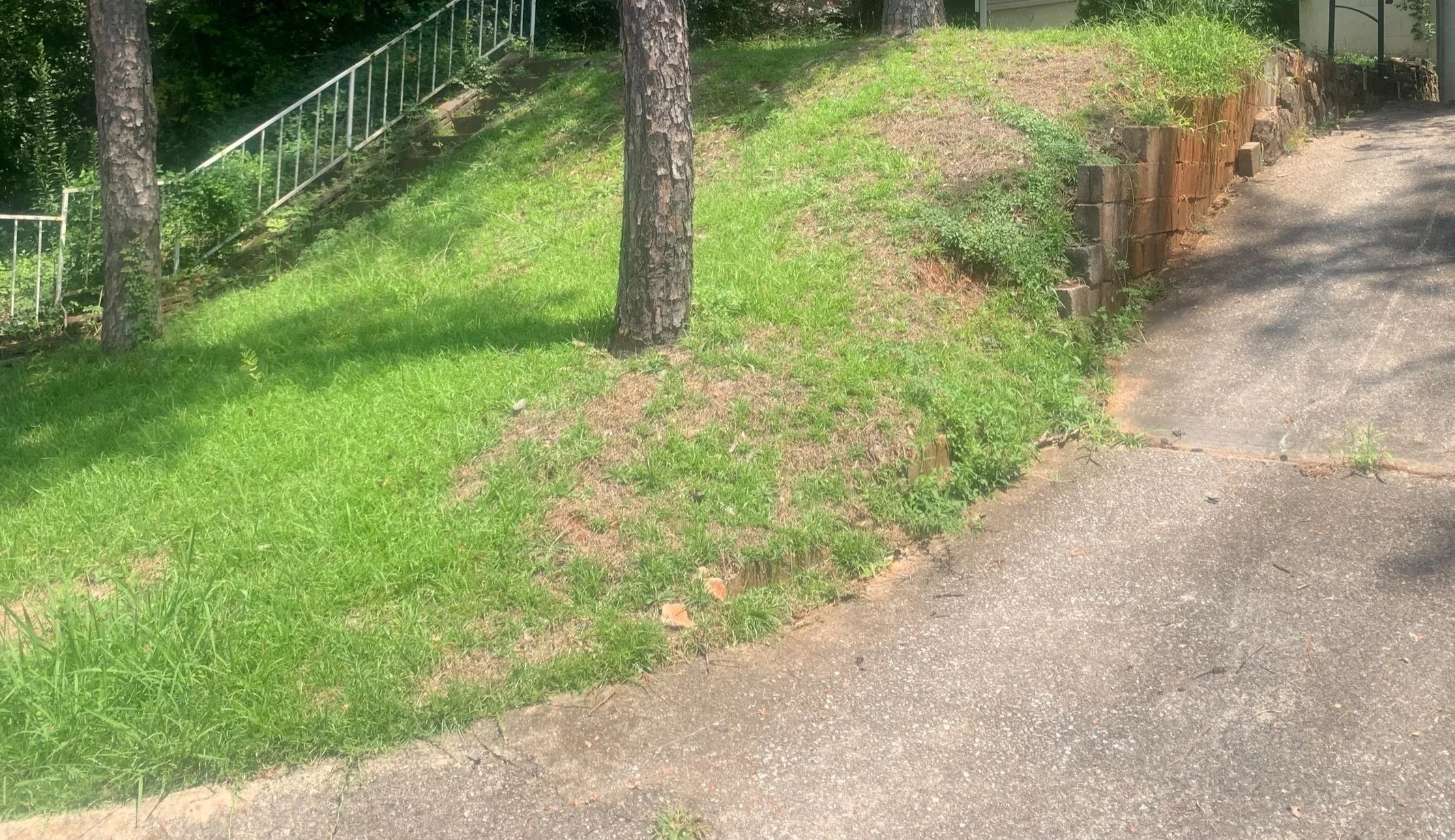 A small grassy area with a tree and a retaining wall made of bricks, adjacent to a paved sidewalk.