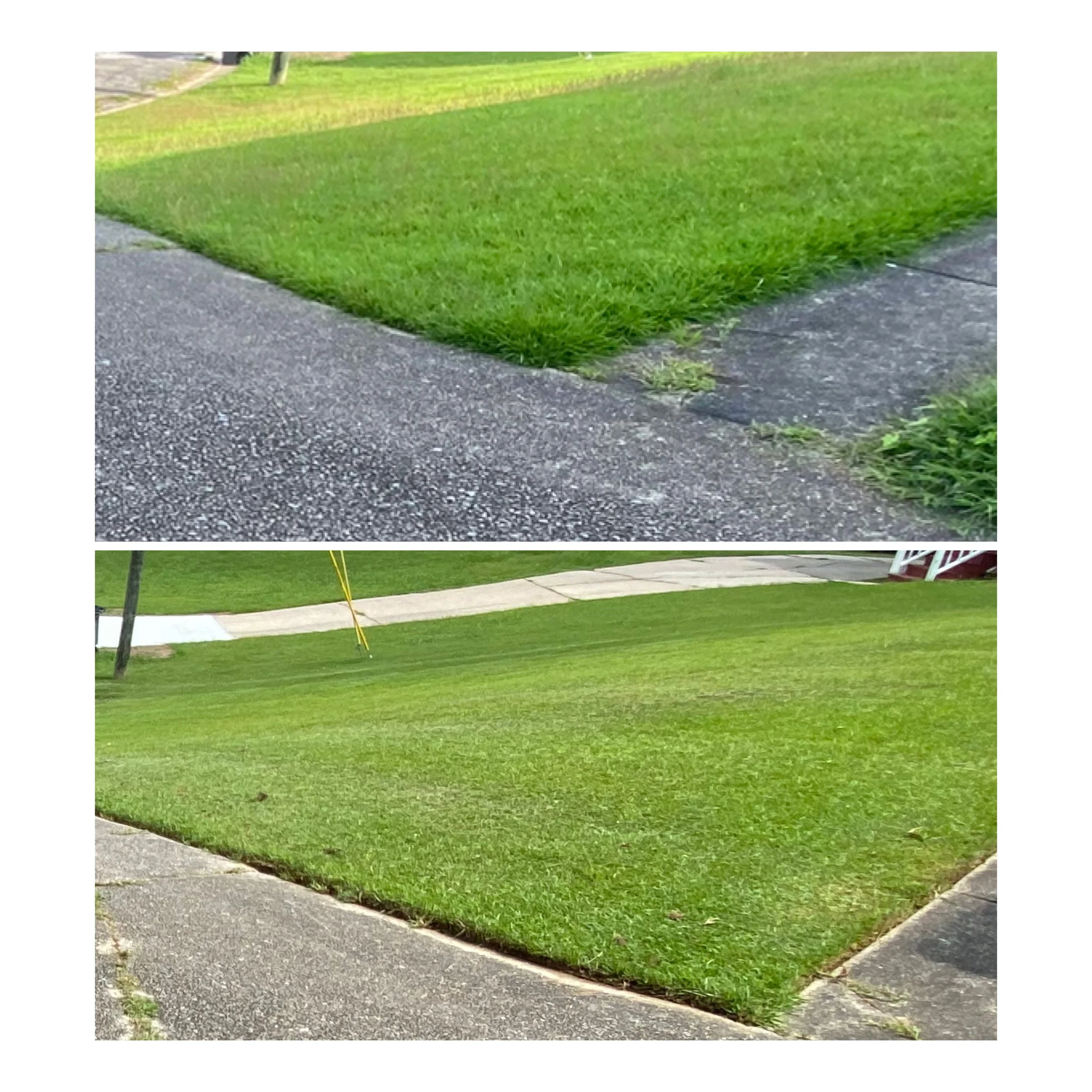 Comparison of two patches of grass, with the top patch showing overgrown, uneven grass and the bottom patch showing well-maintained, neatly trimmed grass.
