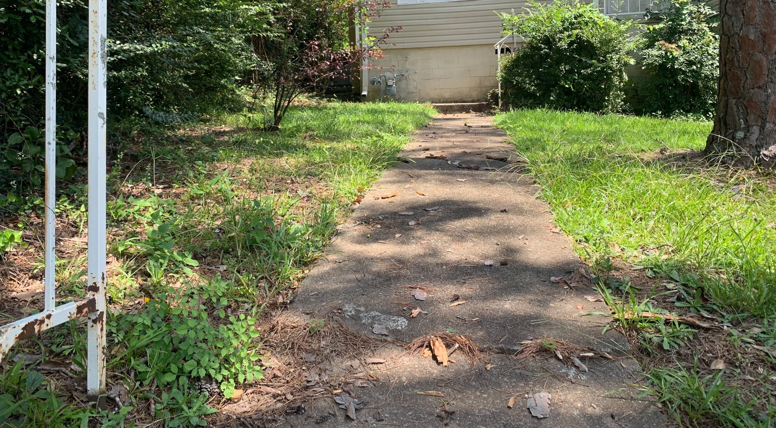 A cracked sidewalk leading to a house with overgrown grass and trees on both sides, with some fallen leaves and patches of shade.