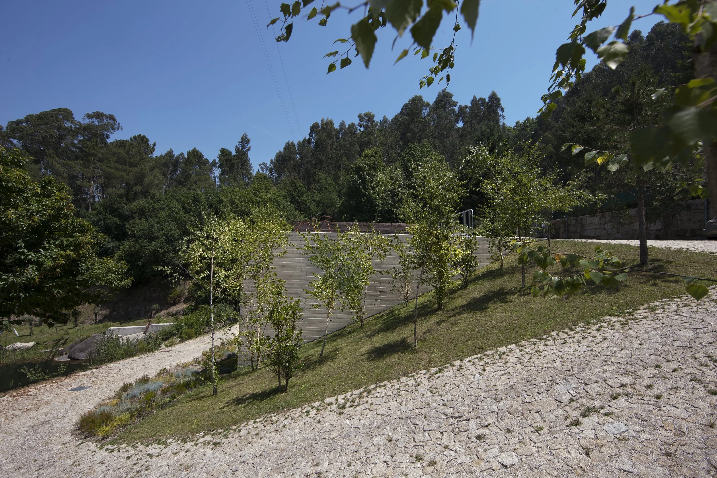 otiima (8).jpg
