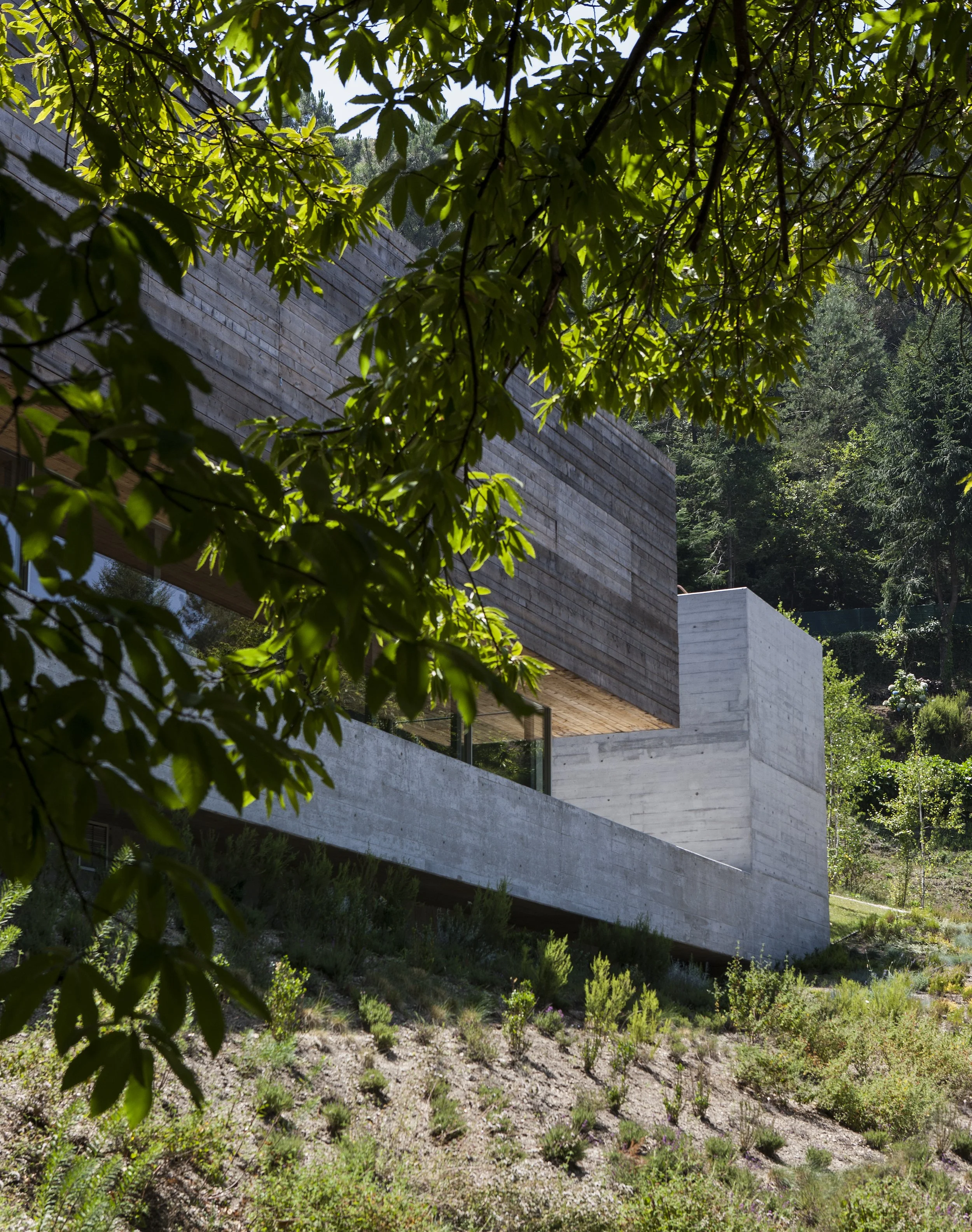 otiima (17).jpg