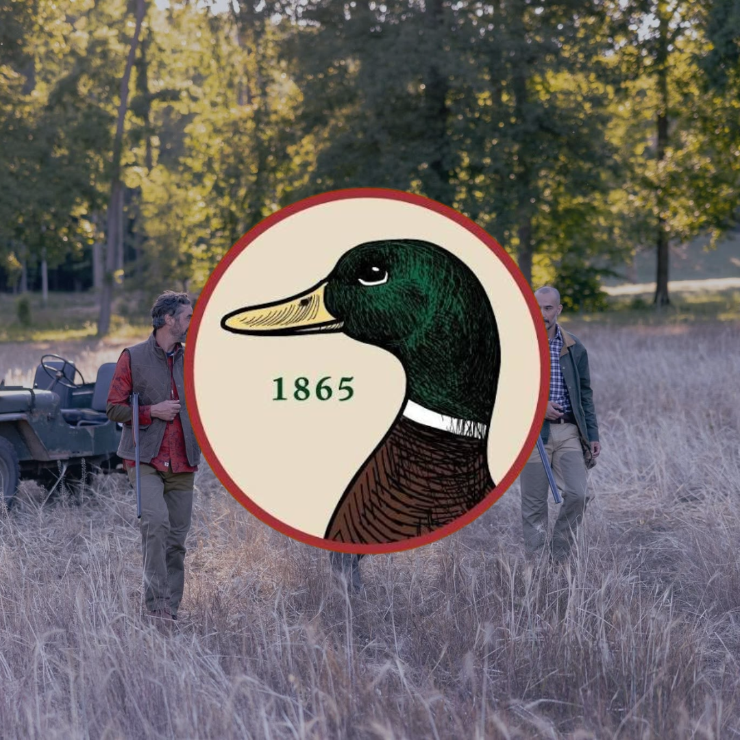 46.png