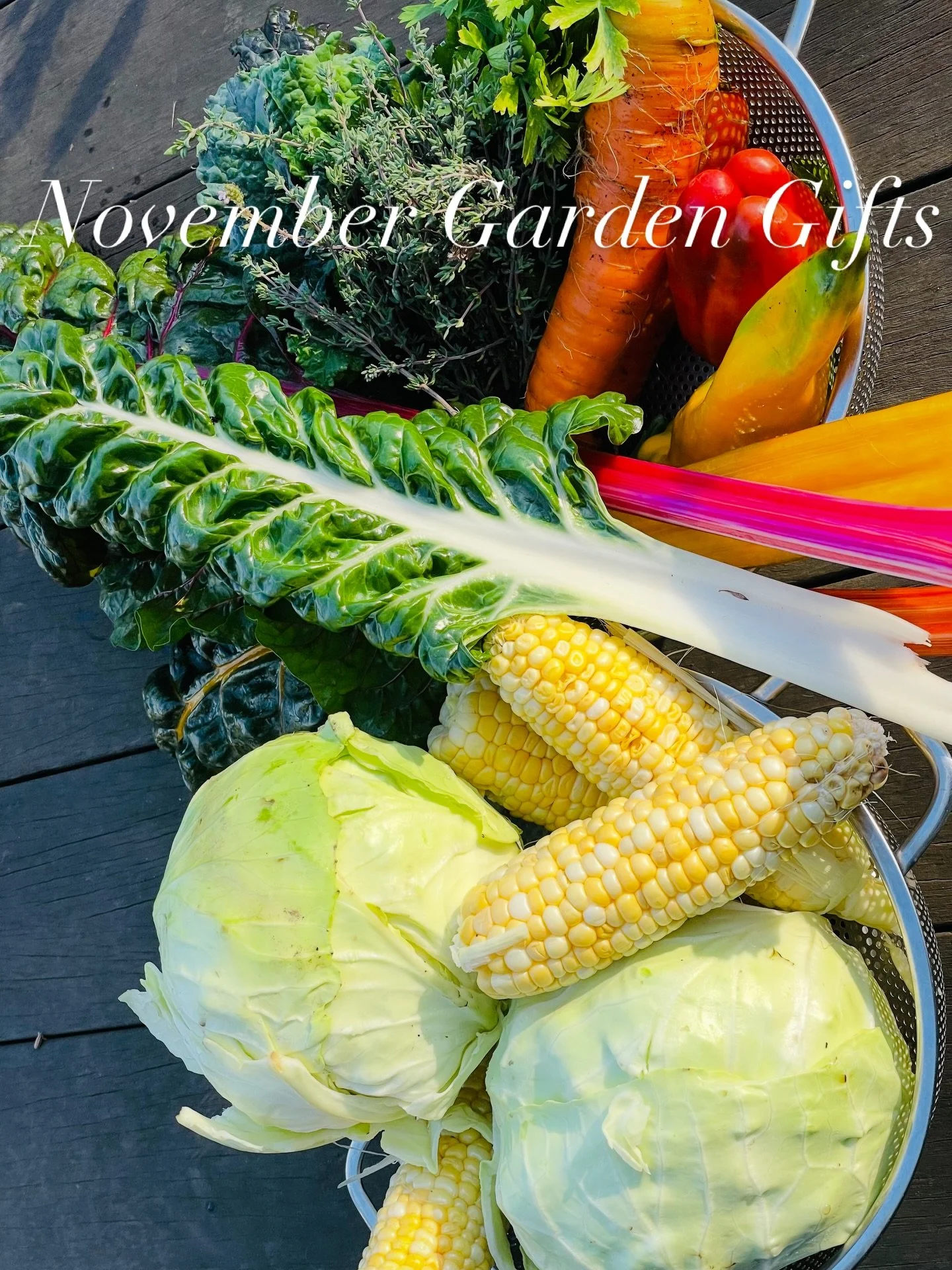 Thankful for our long extended gardening season this year. Harvested this bounty last week for a delicious nutritious soup!

This is  the first year I remember having corn this late in the season. Im grateful for access to local and homegrown produce
